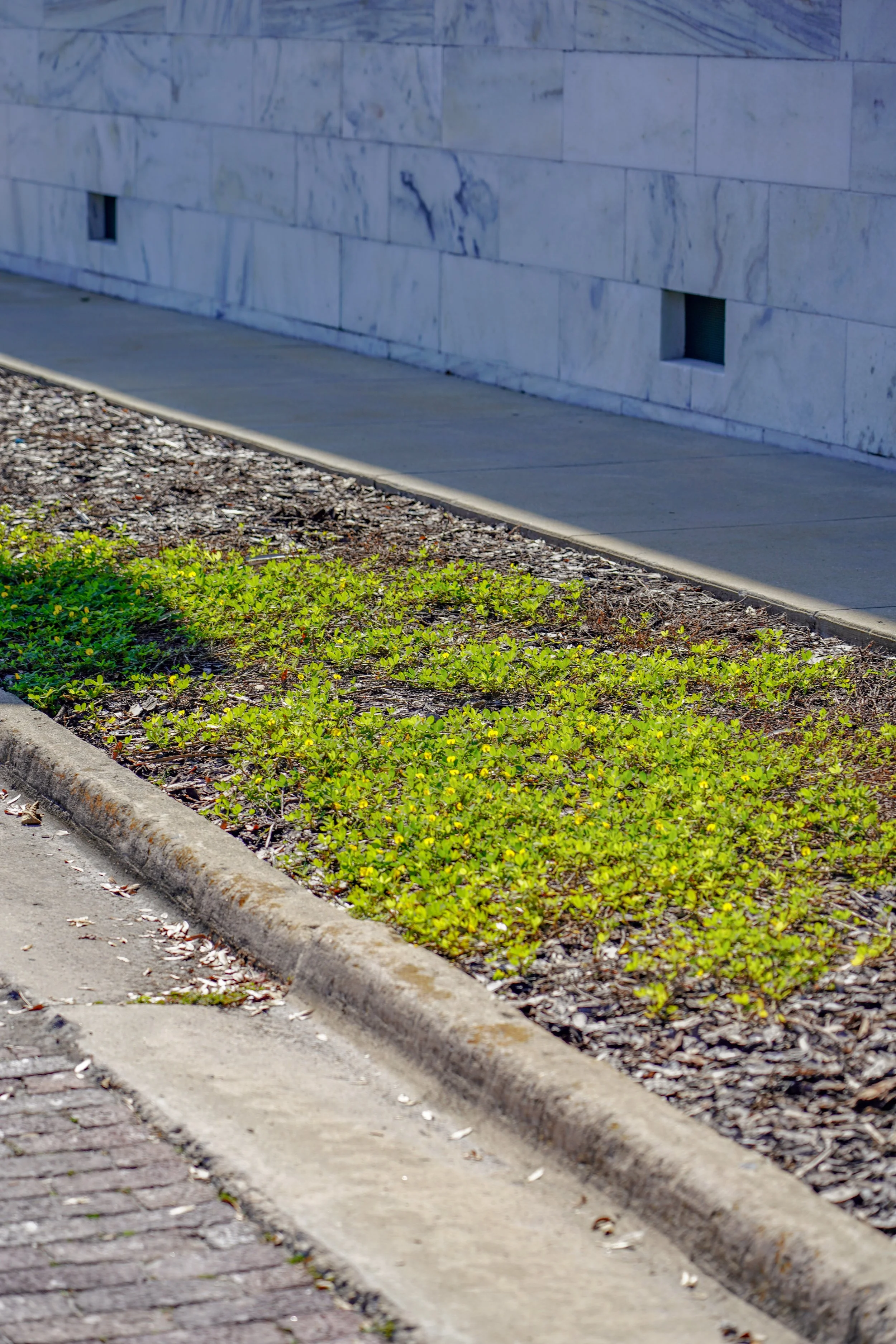 12-10_A7R3-118.jpg