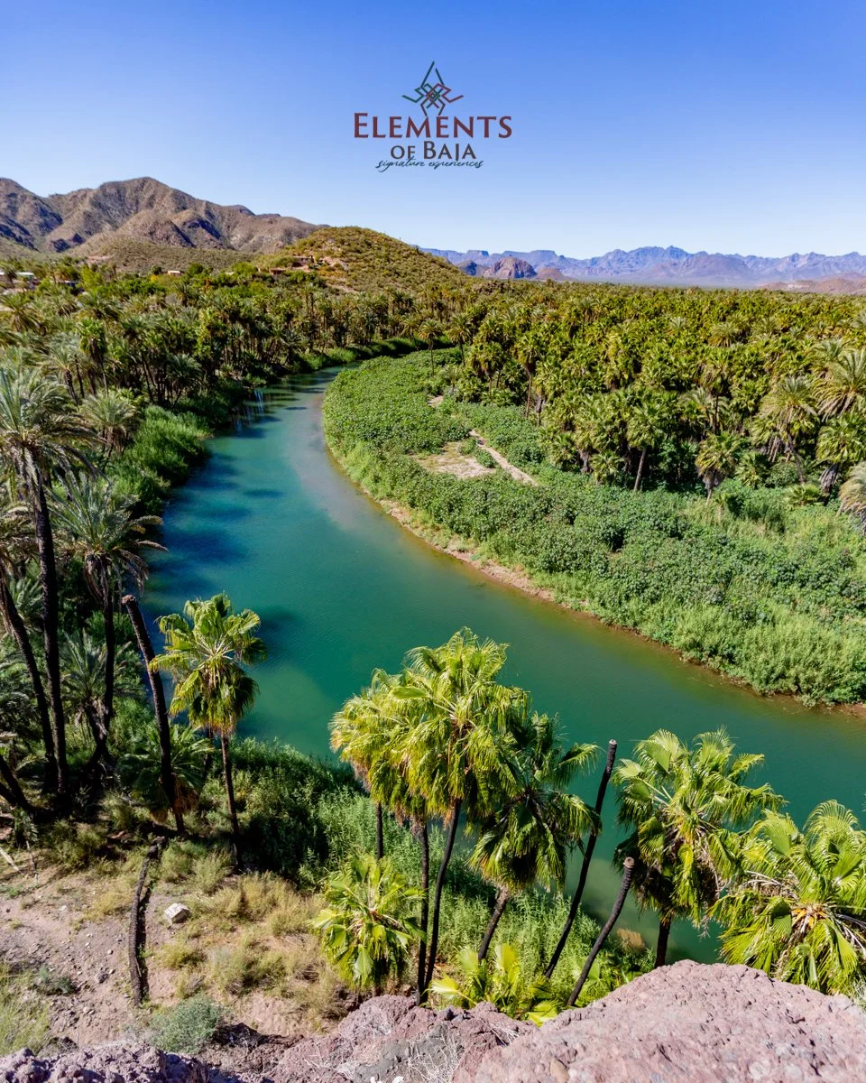 31 Dic 2020 EOB _MG_8104.jpg