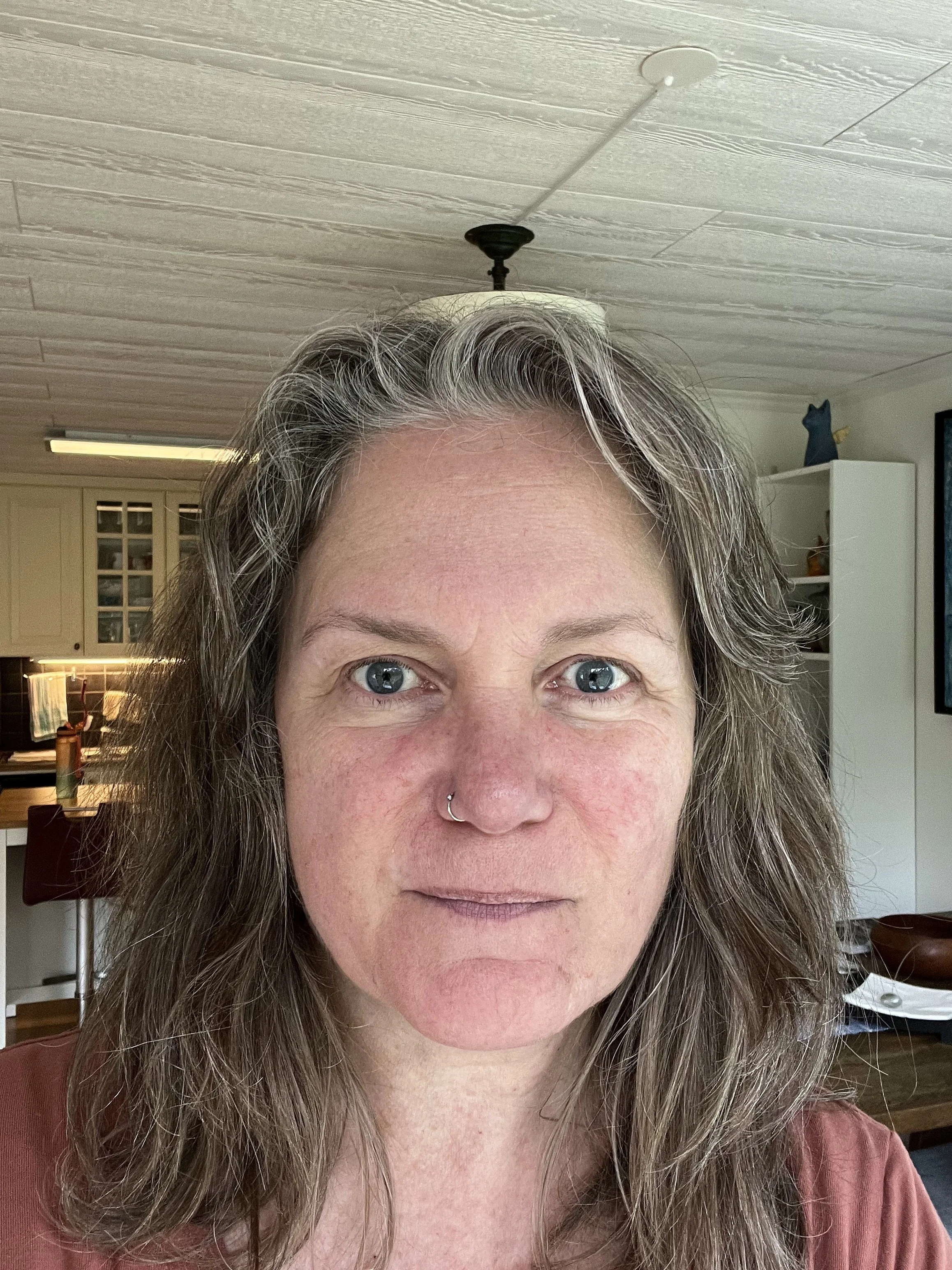 Anne-Grete: The Long Journey Home
