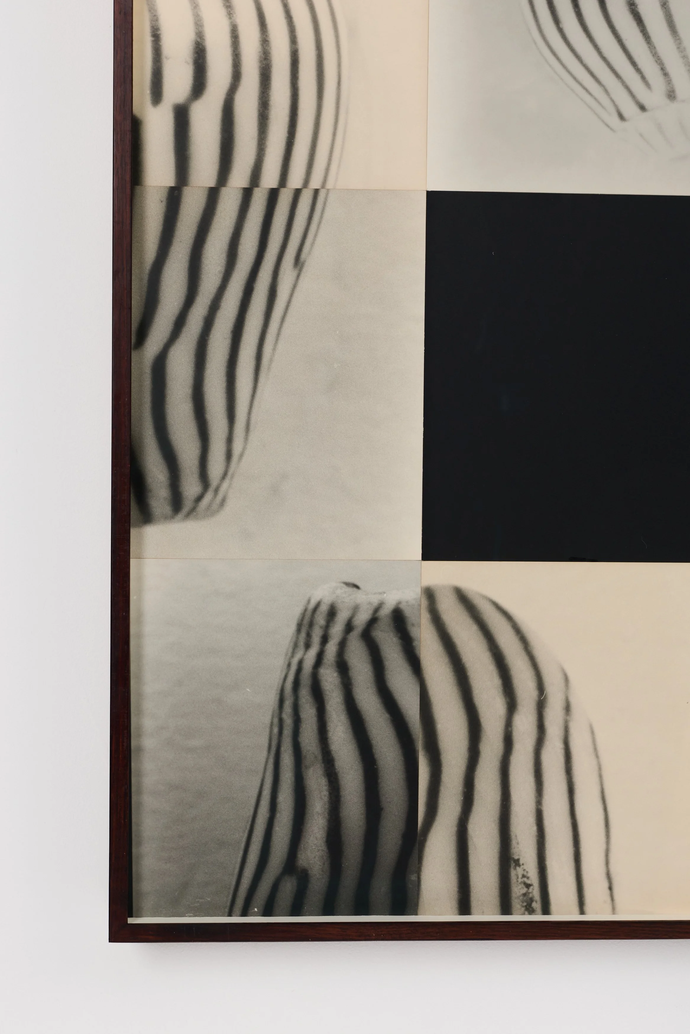 Amoria Zebra Slide Puzzle-Detail -1.jpg