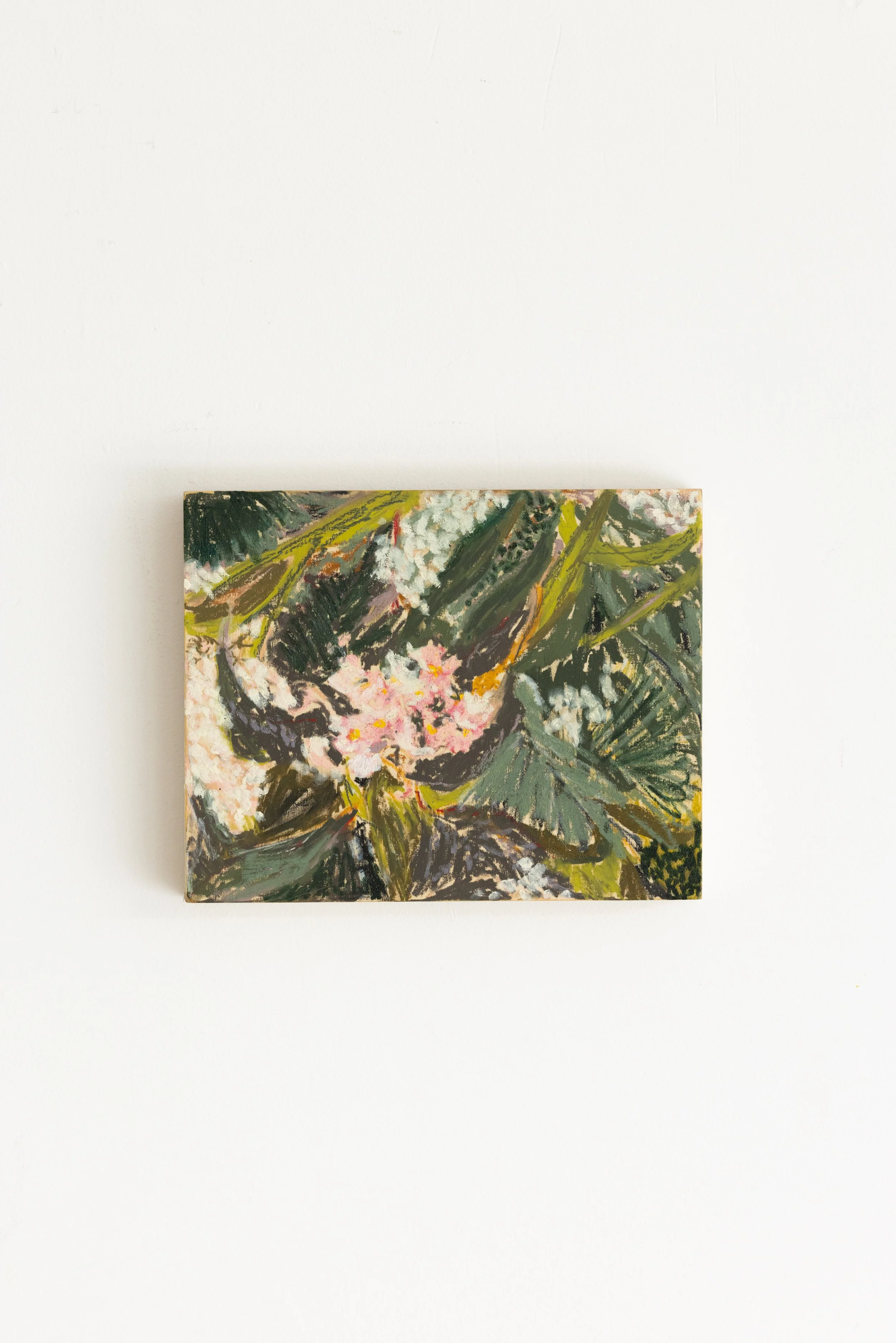 ‘We brushed against little Pink Flowers' - Phoebe Stone