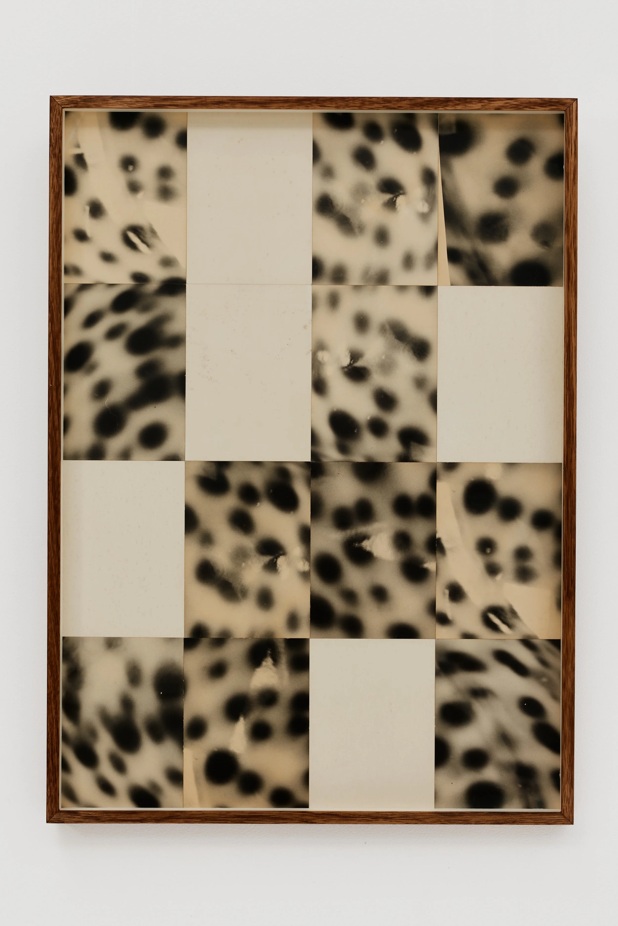 BLANK_SPOTS_001-72.4x52.3×4cm-Composite-16-silver-gelatin-hand-prints-2025-ming-nomchong.jpg