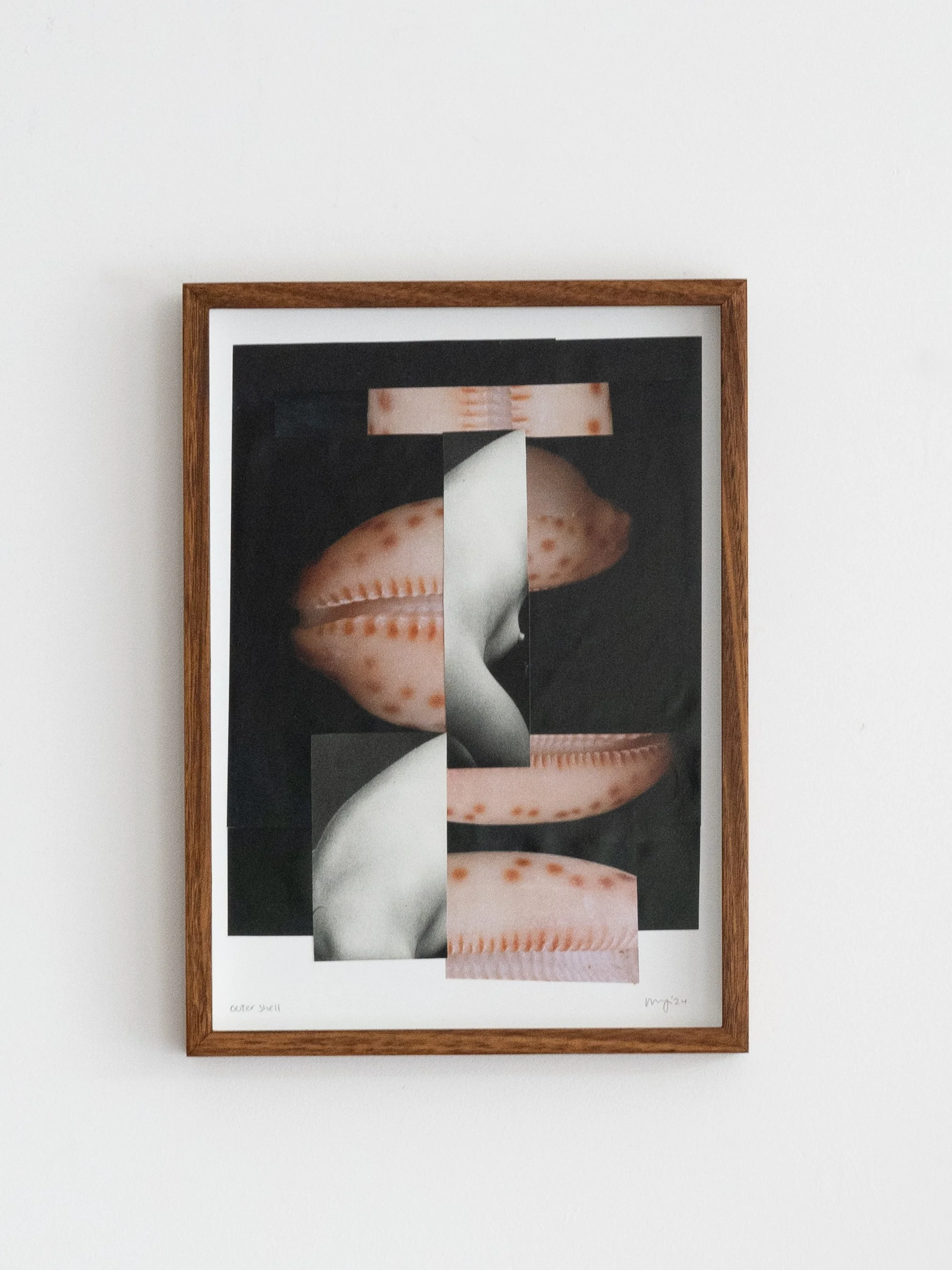 'Outer Shell' by Ming Nomchong