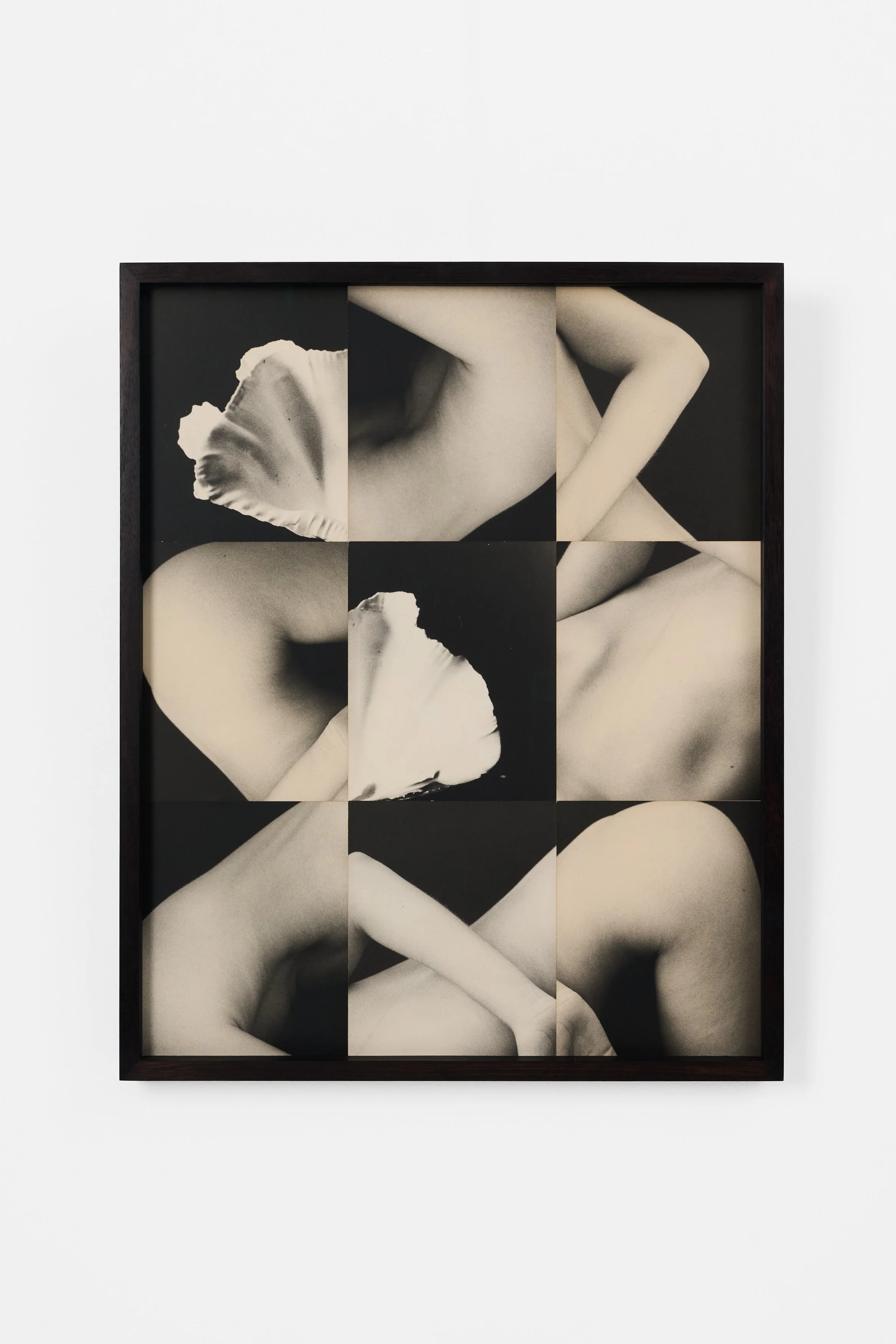 Ming Nomchong-Playing Twister With Oneself-79x64x4cm-silver gelatin fiber-based Baryta paper-2026-1.jpg