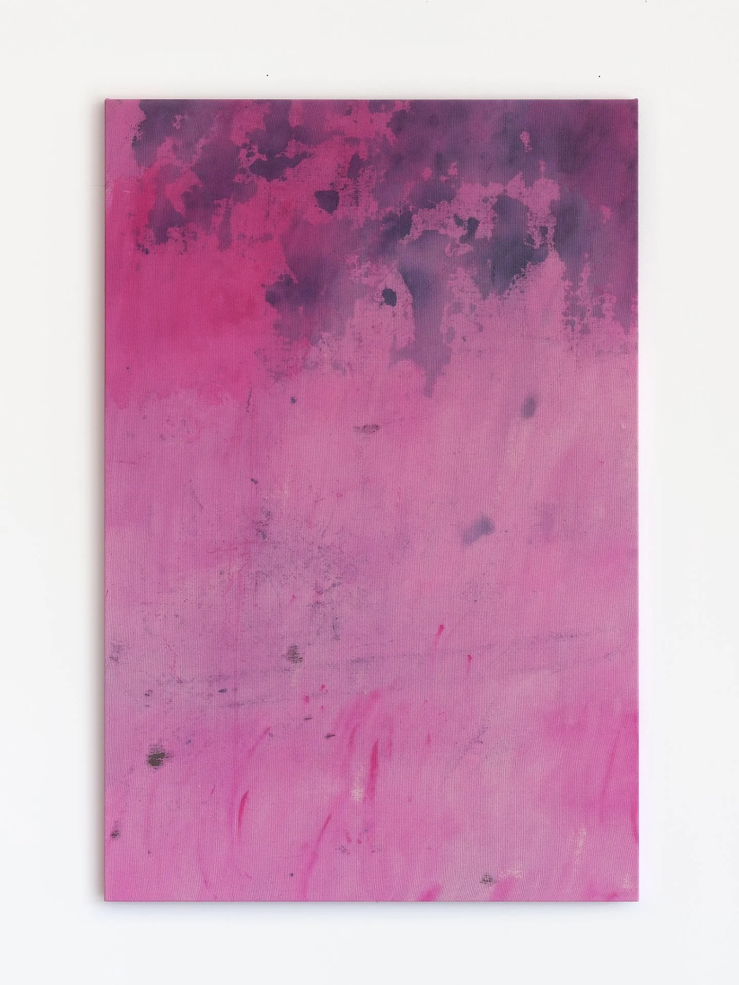 ‘Dream’ - Sara Mugnes