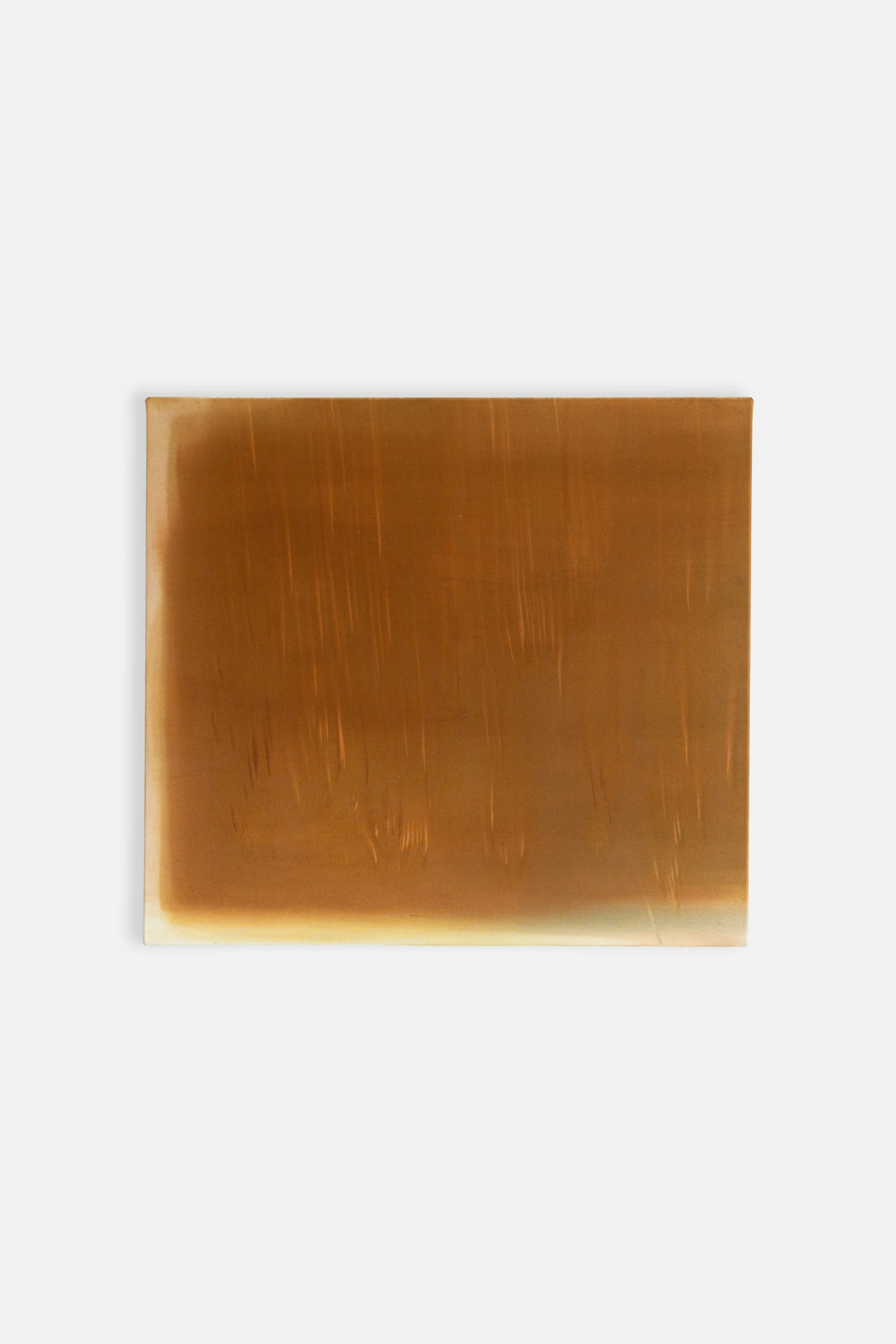 ‘Linger’ - Julia Mechielsen