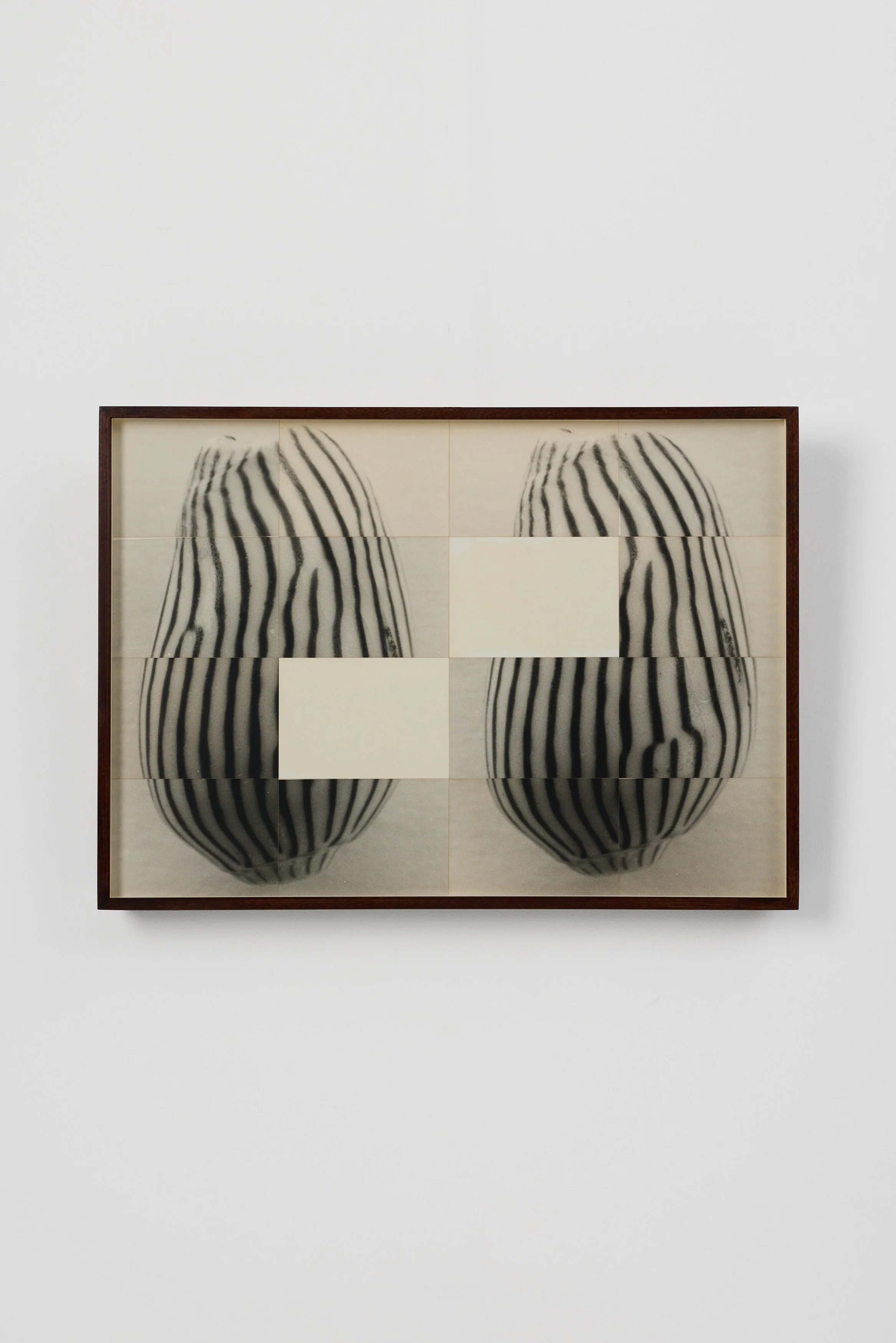 Ming Nomchong_Amoria Zebra Twins-52.2x72.5x4.6cm-Silver gelatin fibre-based Baryta paper-2026-1.jpg