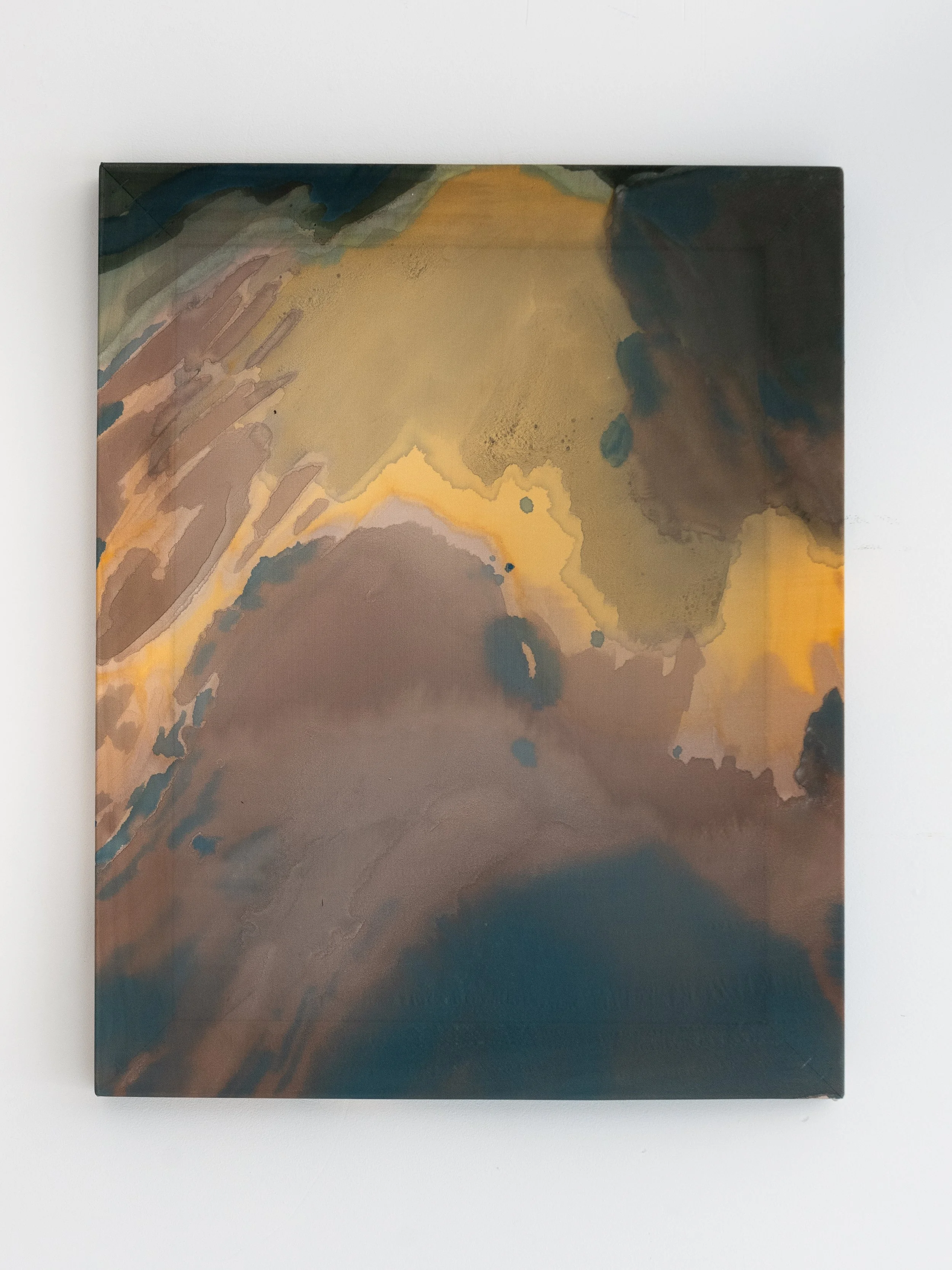 'Her quiet stare' - Loralee Jade