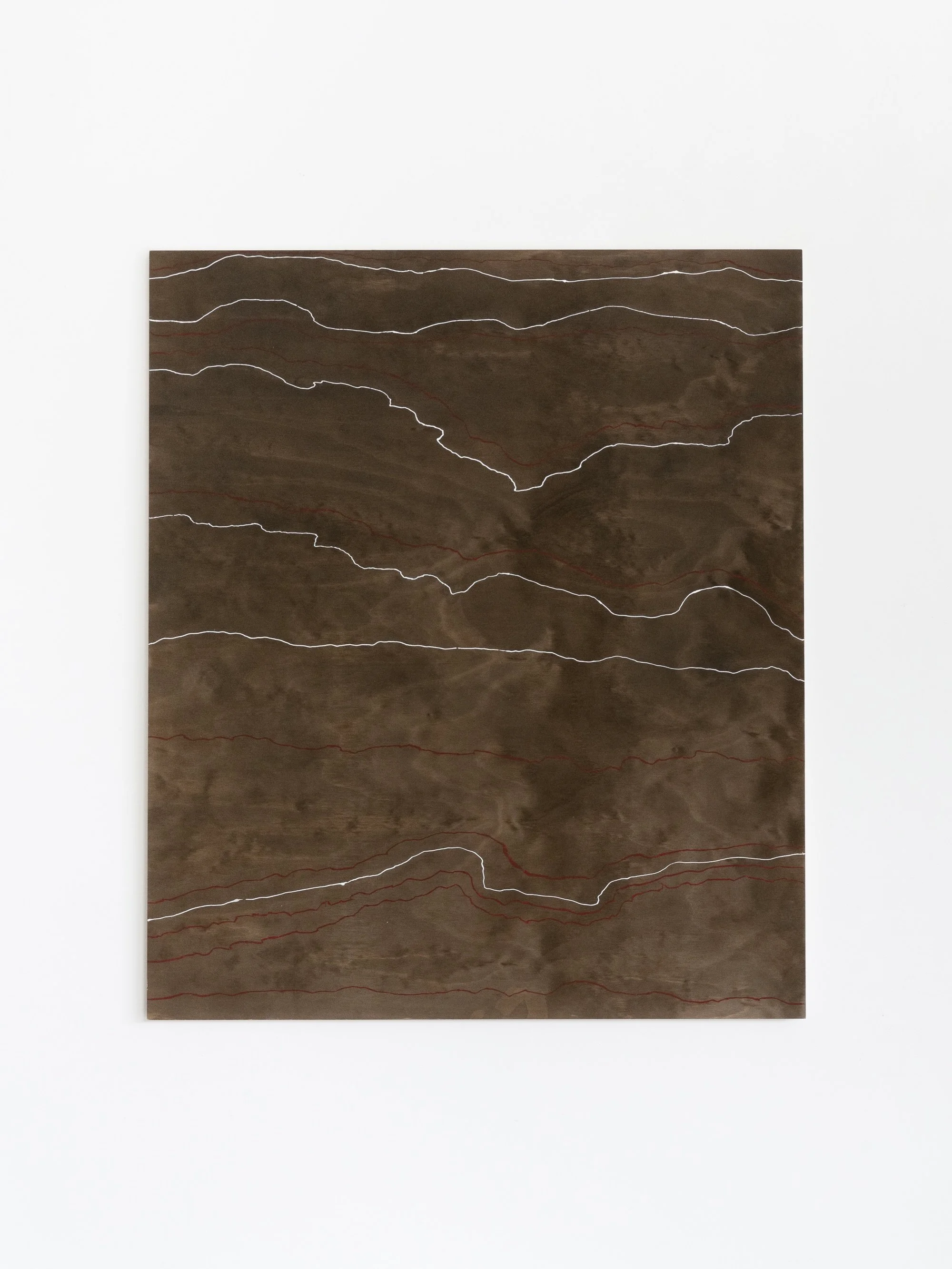 'Wiridji Mulkali ‘Red ceremony’ - Aly Bennett