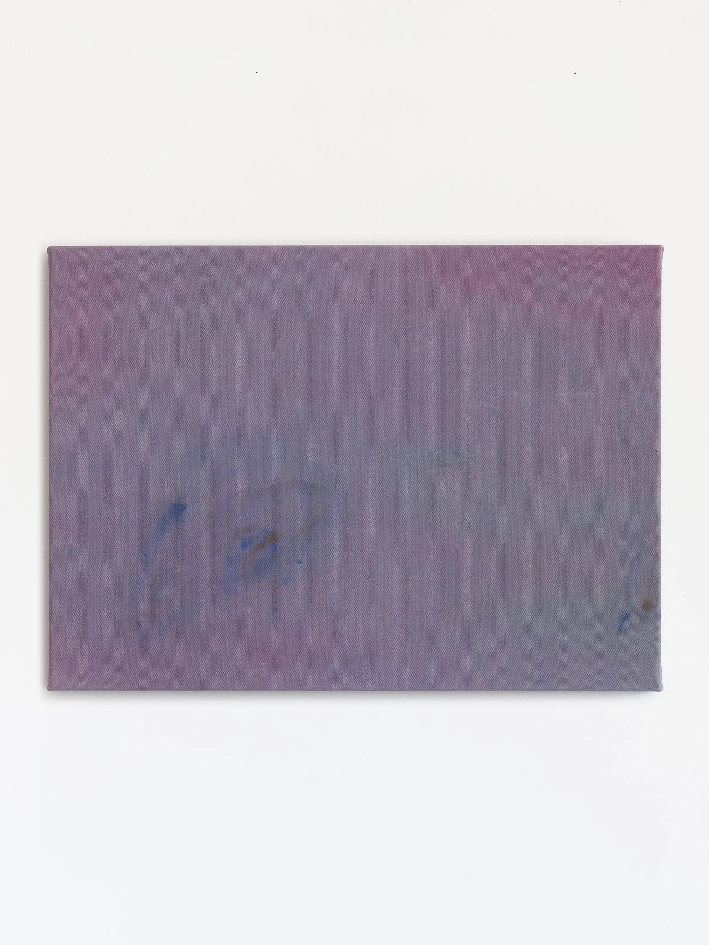 ‘Surprise’ - Sara Mugnes