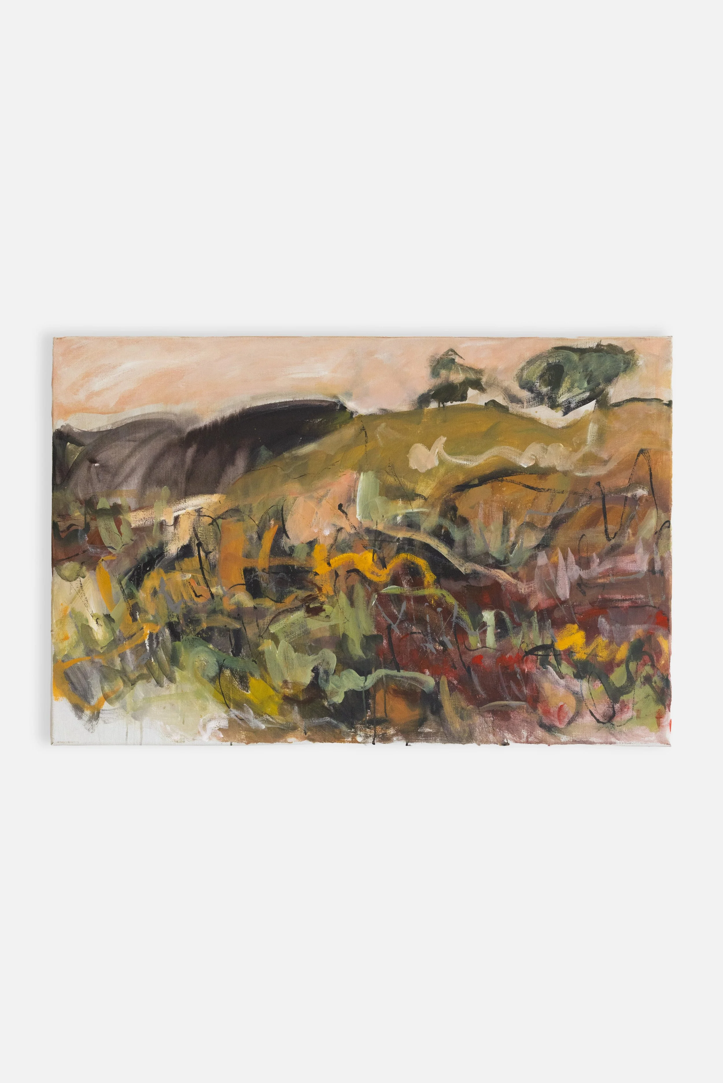‘Looking for the Trail Arrerente' - Rachel Carroll
