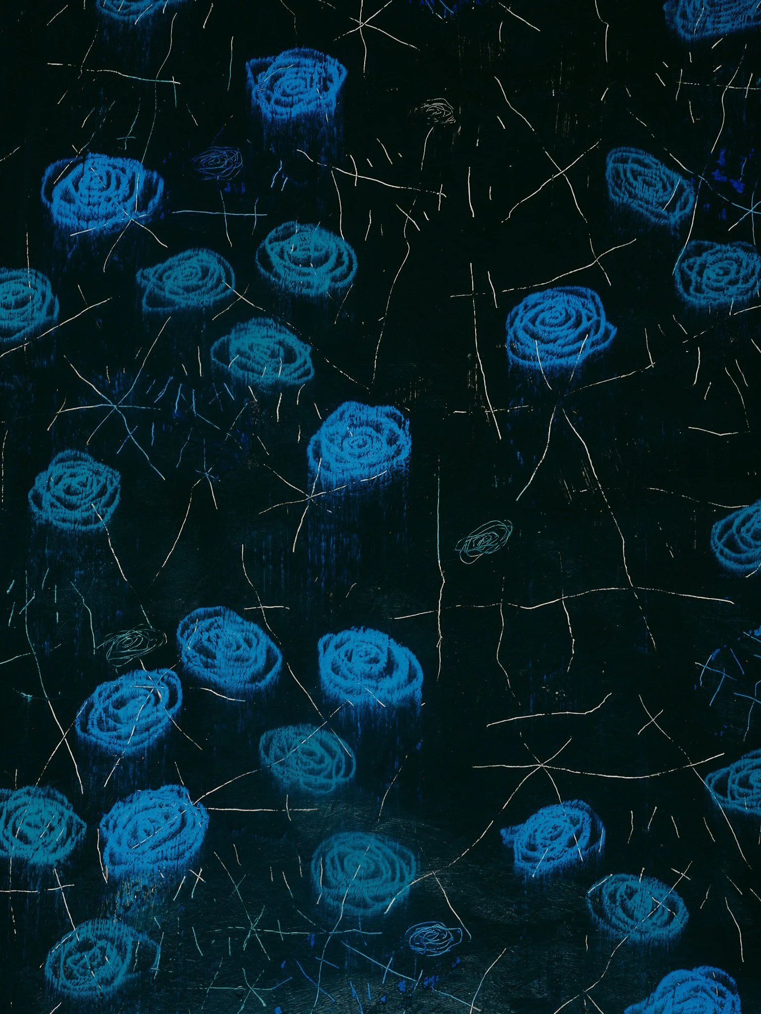 DSCF8757.jpg