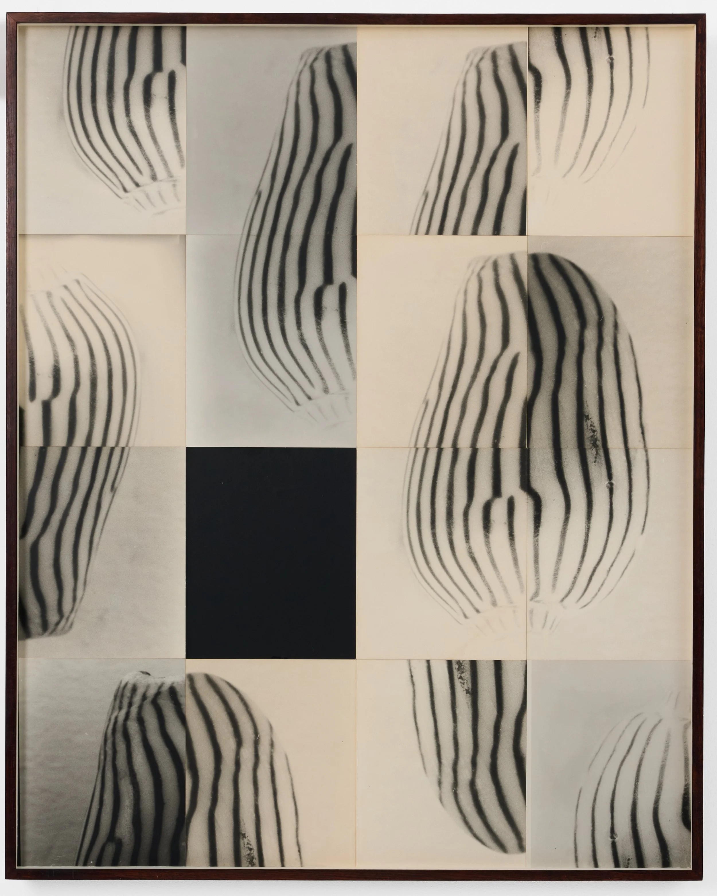 Ming Nomchong-Amoria Zebra Slide Puzzle-102.6x82.7x4.6cm-silver gelatin fiber-based Baryta paper-2026-2.jpg