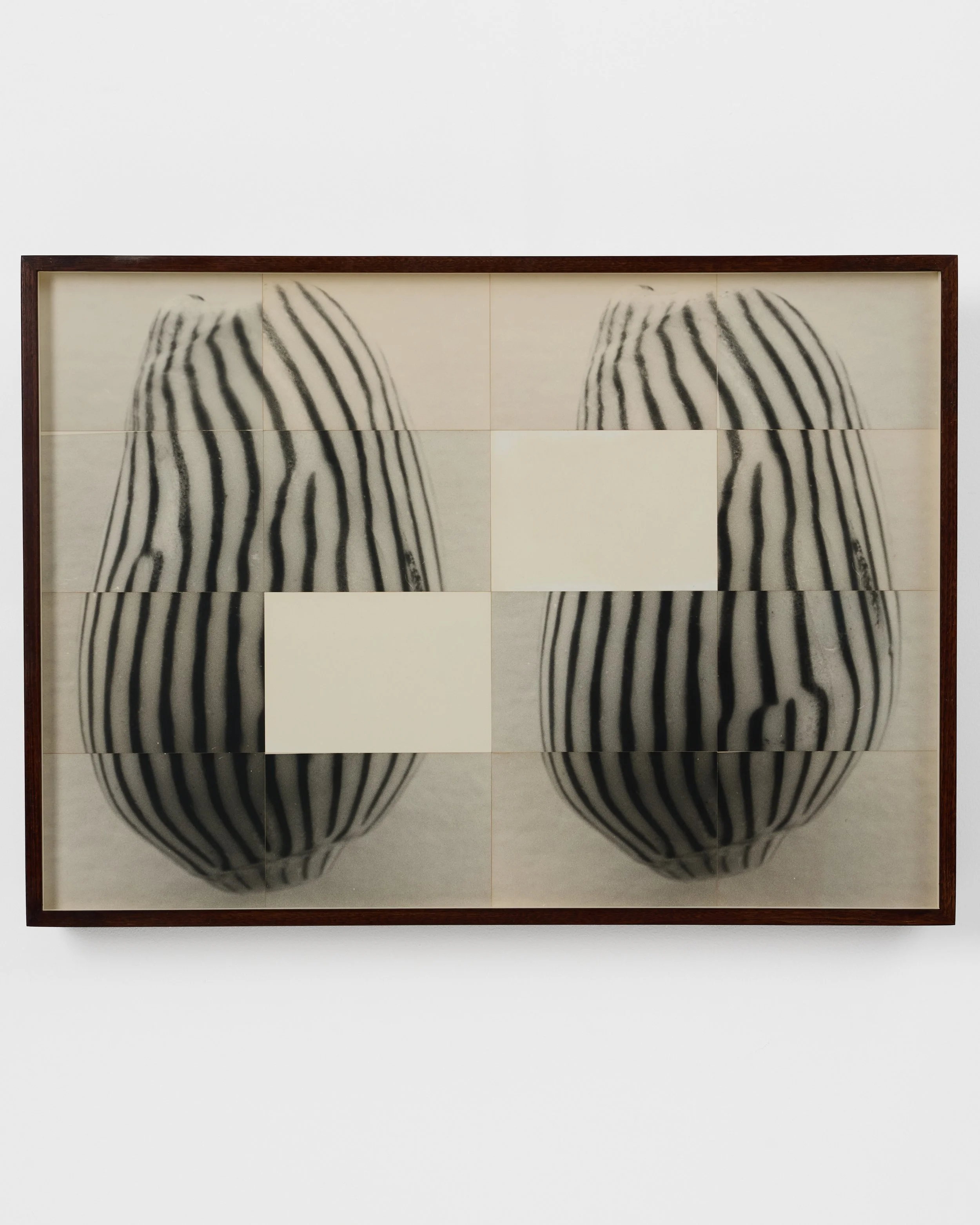 Ming Nomchong_Amoria Zebra Twins-52.2x72.5x4.6cm-Silver gelatin fibre-based Baryta paper-2026-2.jpg