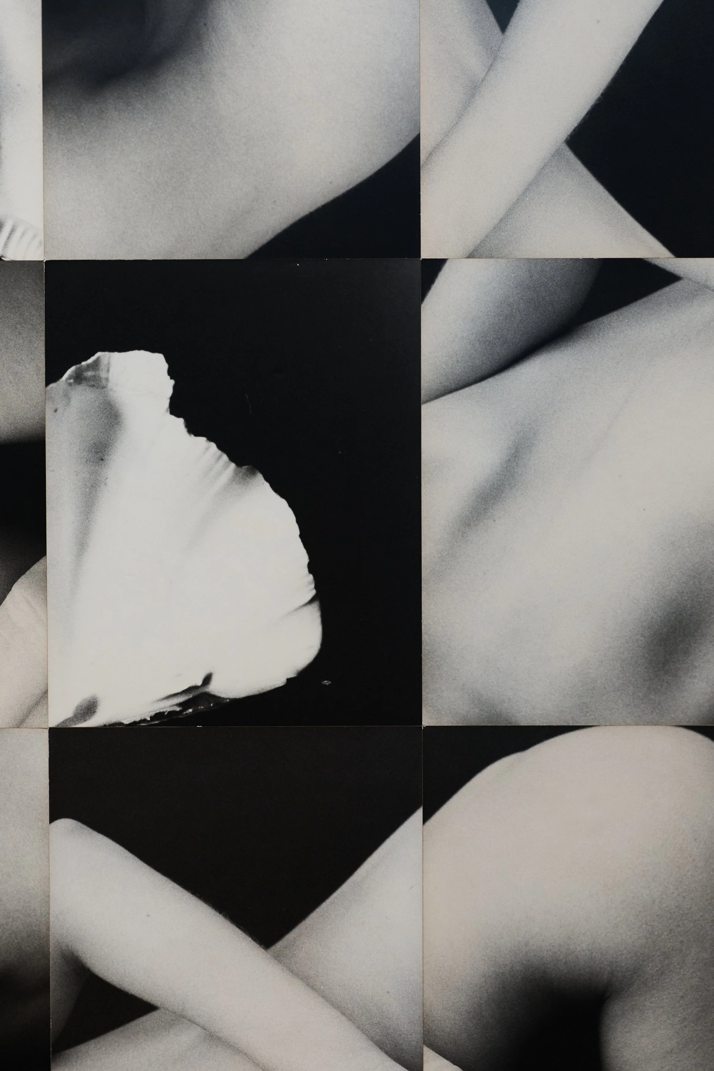 Playing Twister With Oneself - Detail 1.jpg