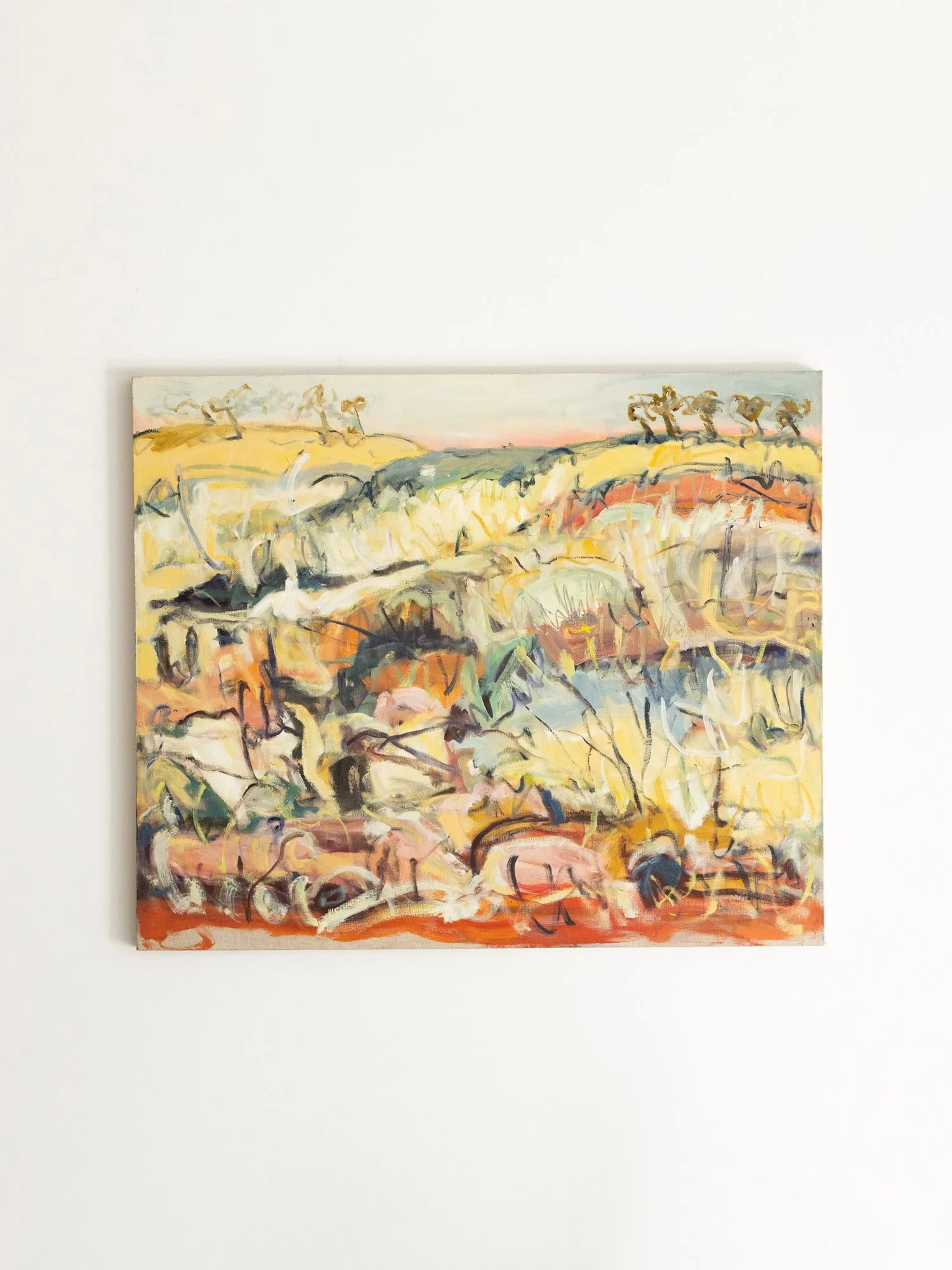 ‘Civil Twilight, Larapinta Trail NT' - Rachel Carroll