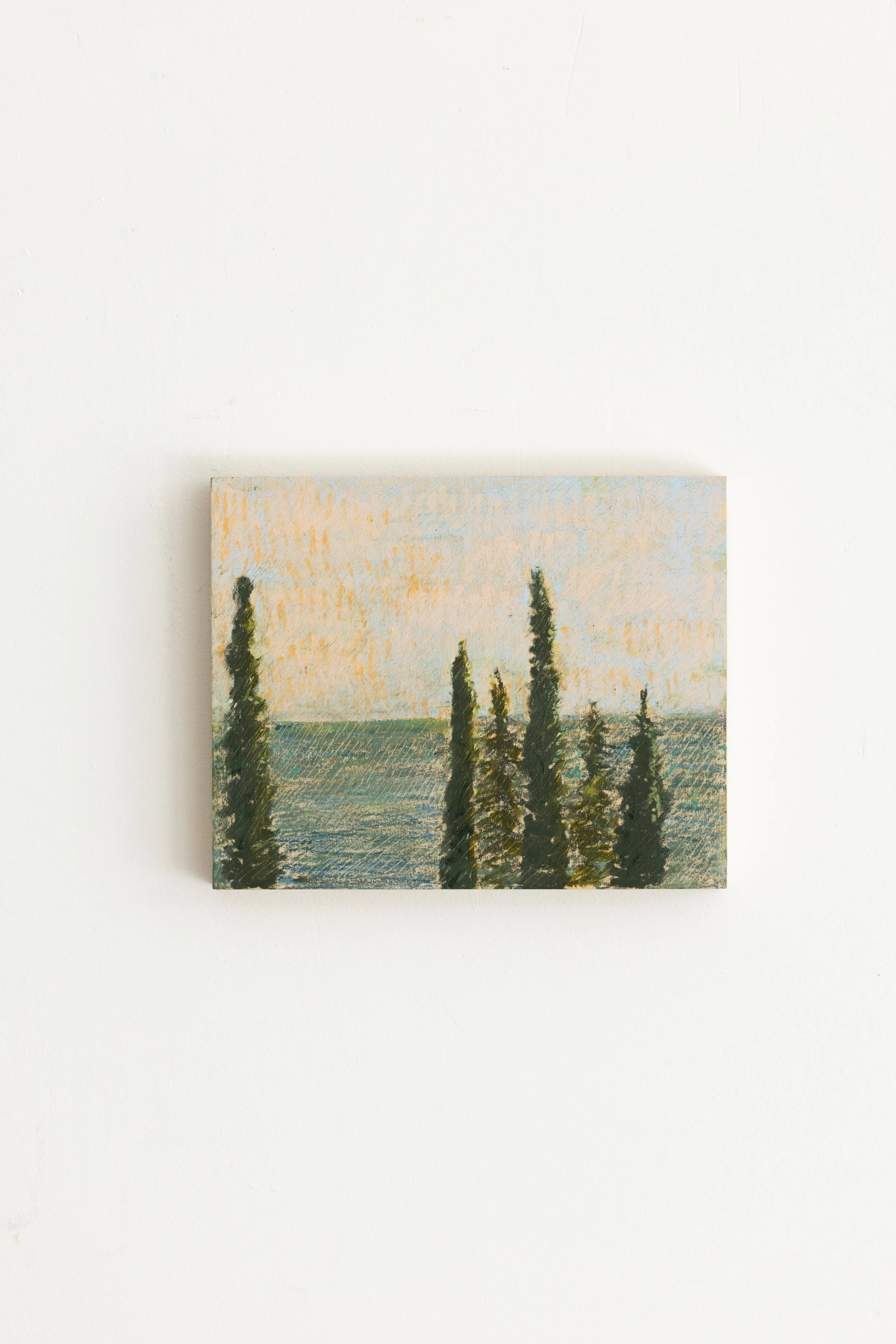 ‘Cyrpress skies' - Phoebe Stone