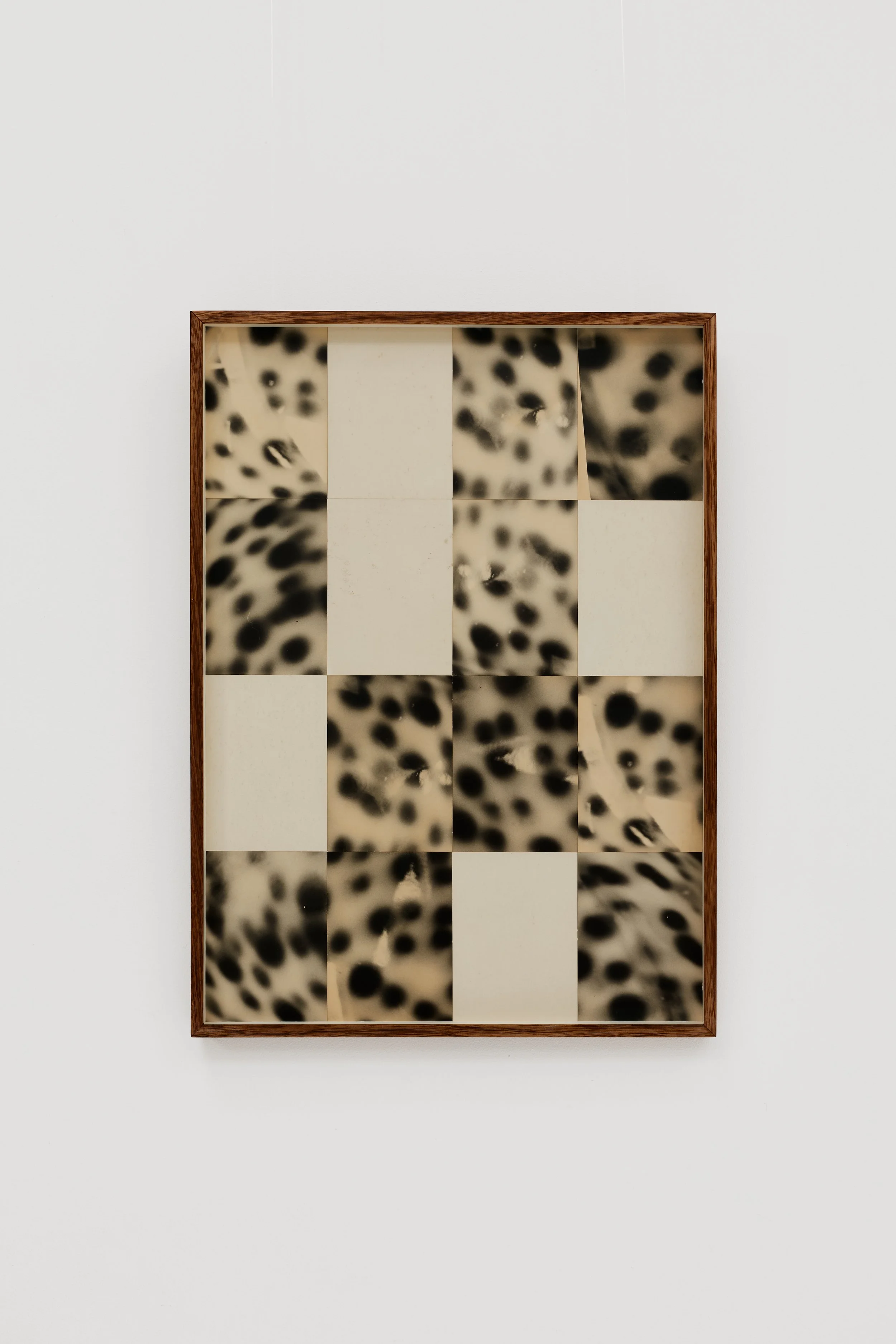 'Blank Spots' by Ming Nomchong