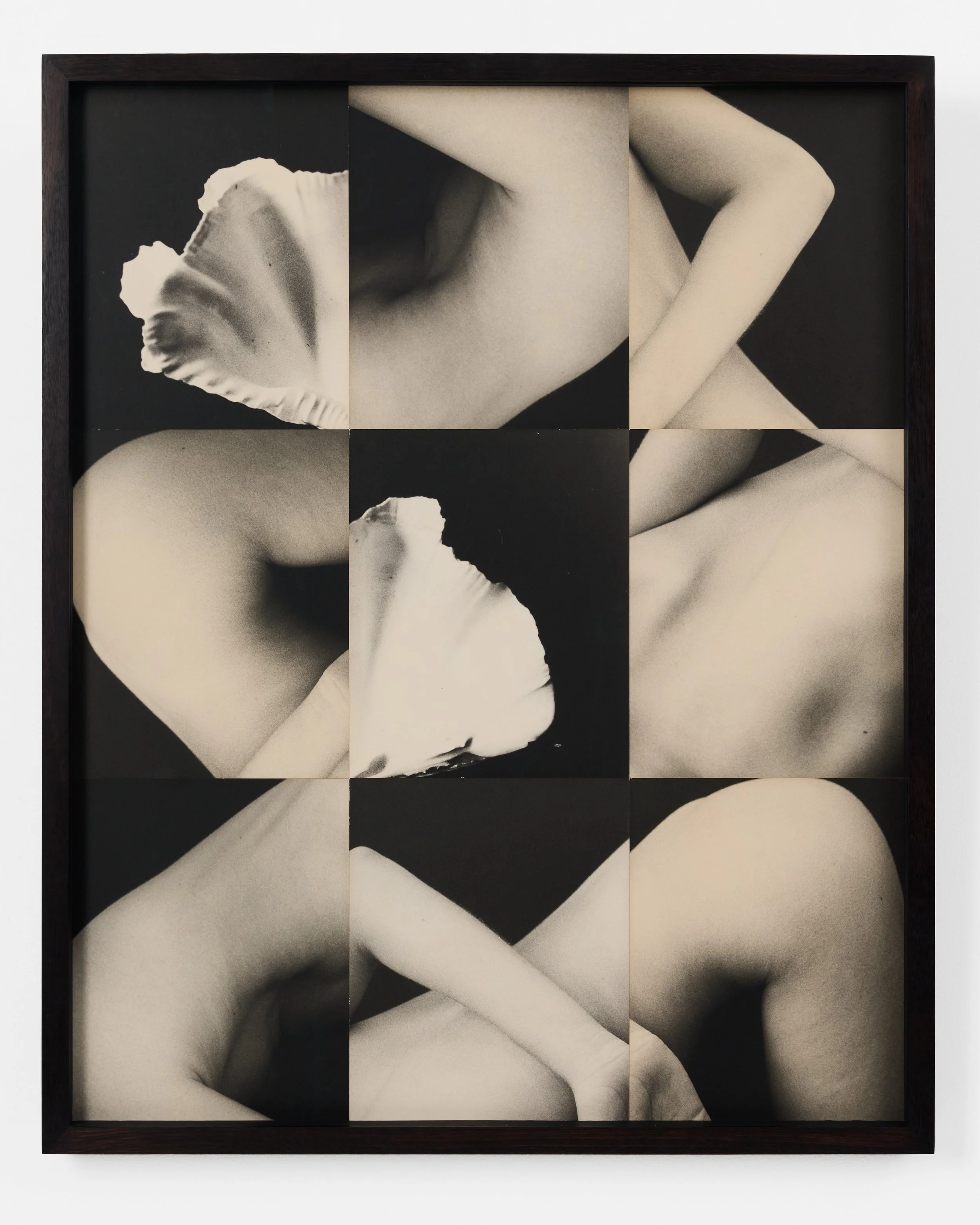 Ming Nomchong-Playing Twister With Oneself-79x64x4cm-silver gelatin fiber-based Baryta paper-2026-2.jpg