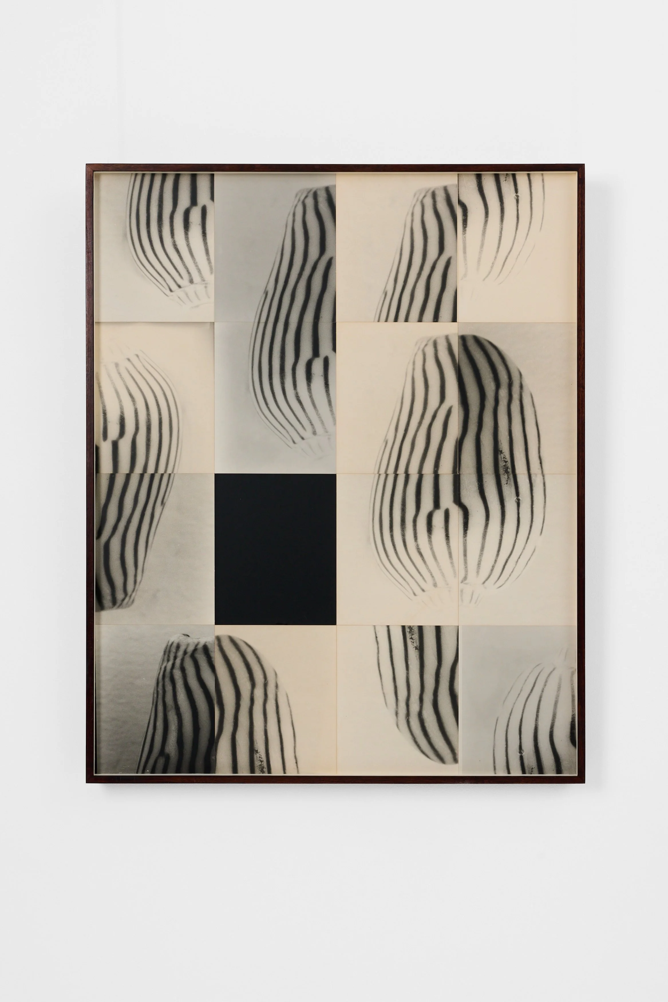 'Amoria Zebra Slide Puzzle' by Ming Nomchong