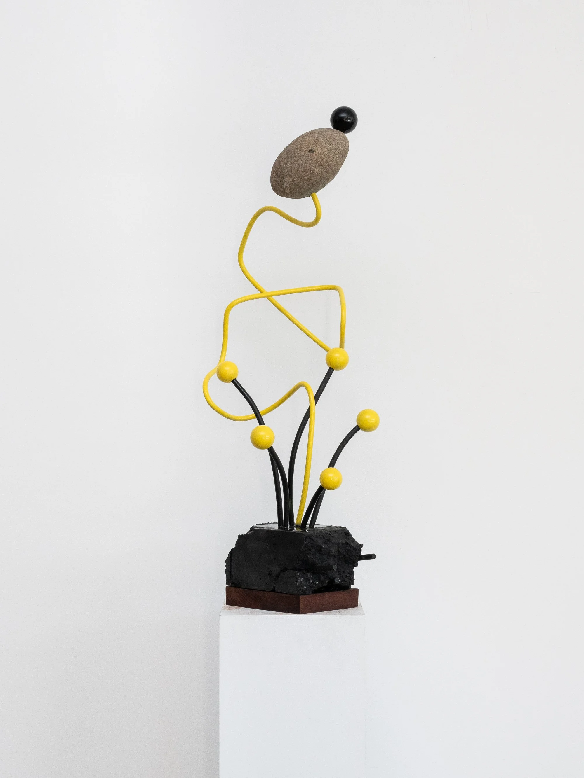 'THE FOSSIL REMAINS OF INTIMACY' - Marcie O'Neill