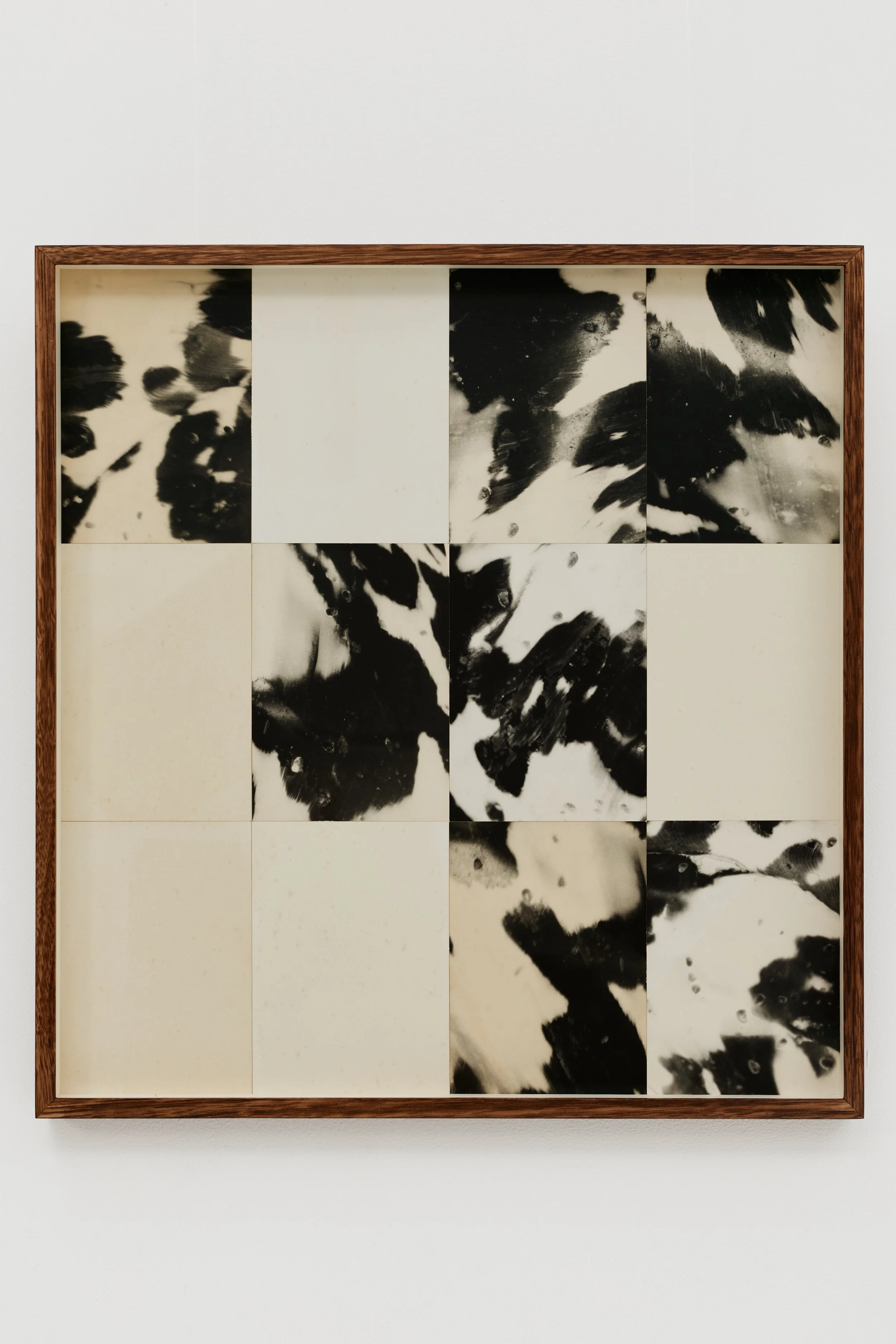 IN_A_FLURRY_II_001-55x52x4cm-Composite-12-silver-gelatin-hand-prints-2025-ming-nomchong.jpg