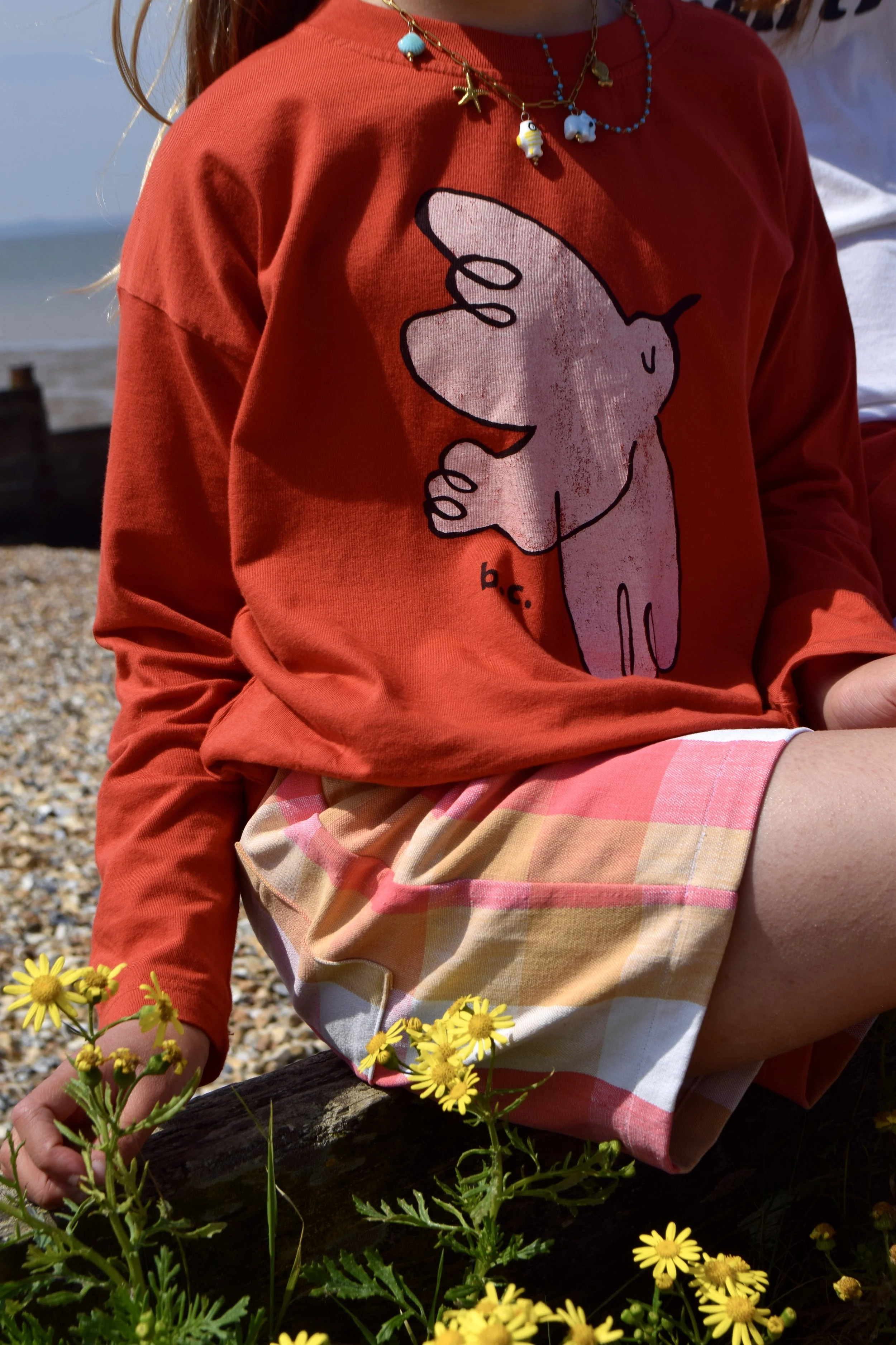 DSC_1971.jpeg