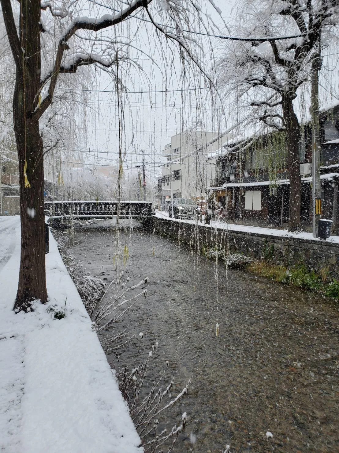 2月お休みのご案内と冬季休暇のお知らせ