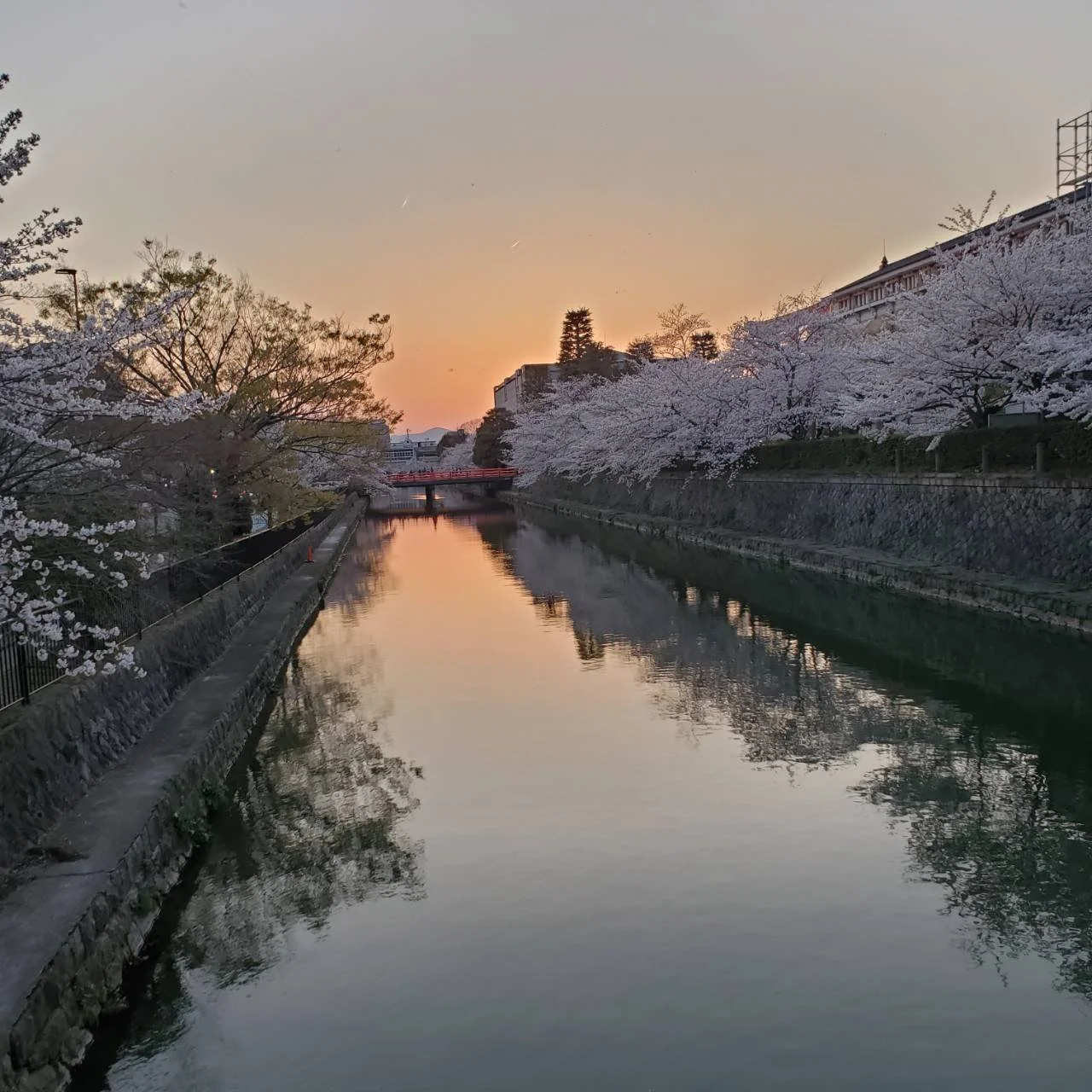 4月お休みのご案内