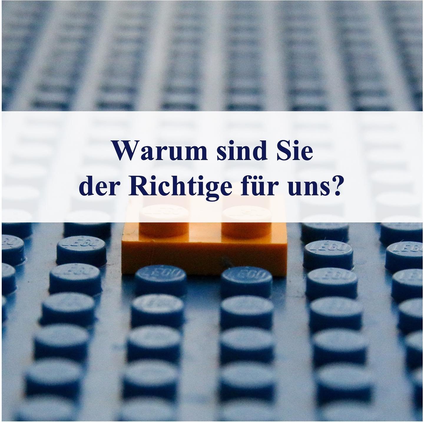 Neuer Blogbeitrag ➡️auf unserer Website❔💭