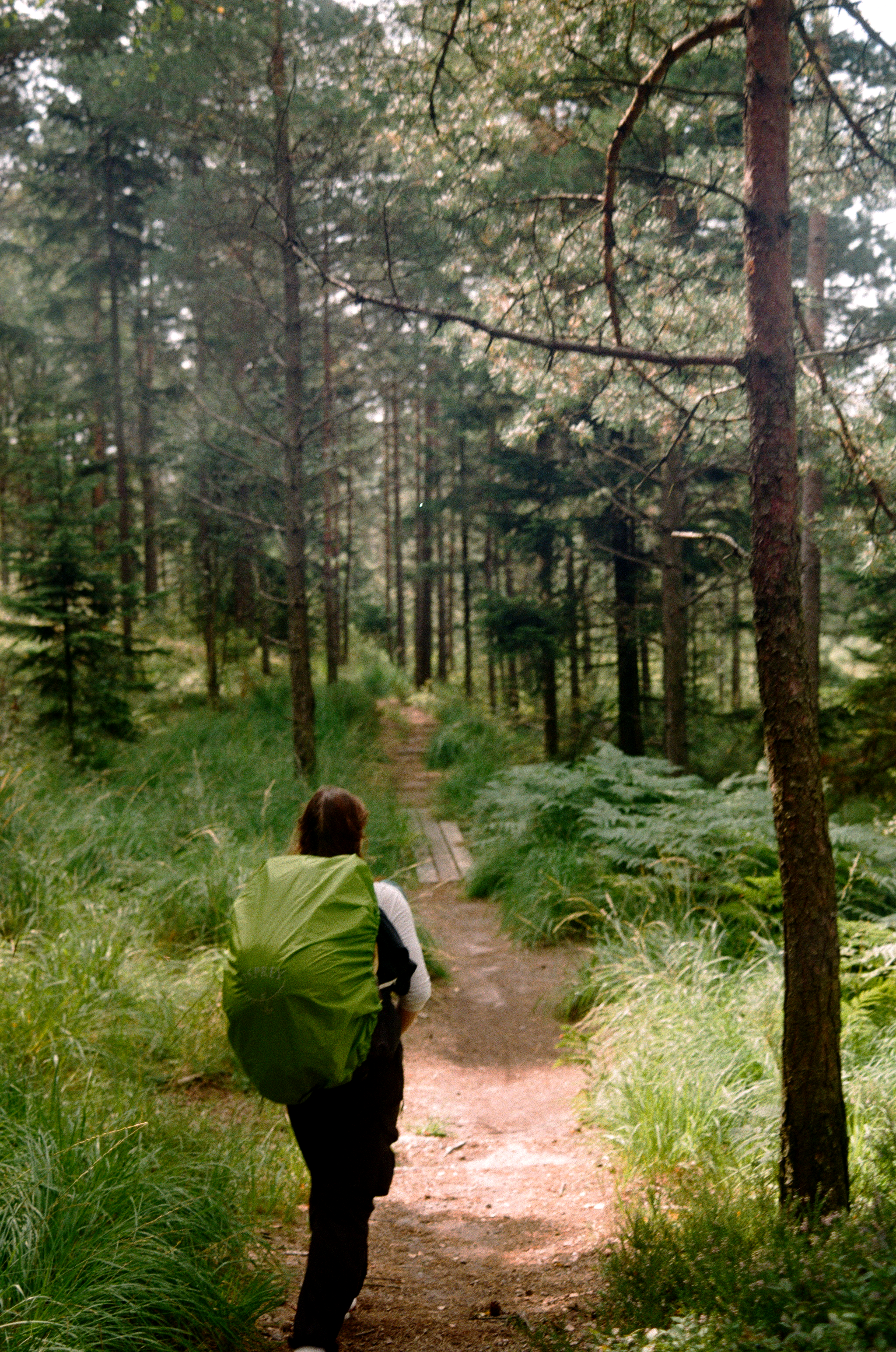 Film0447_16.png