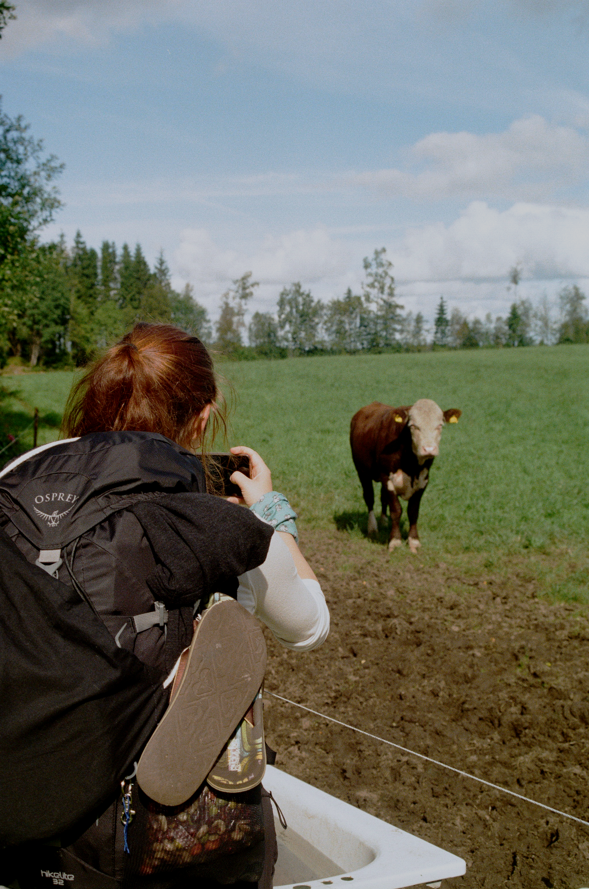 Film1171_02a.png