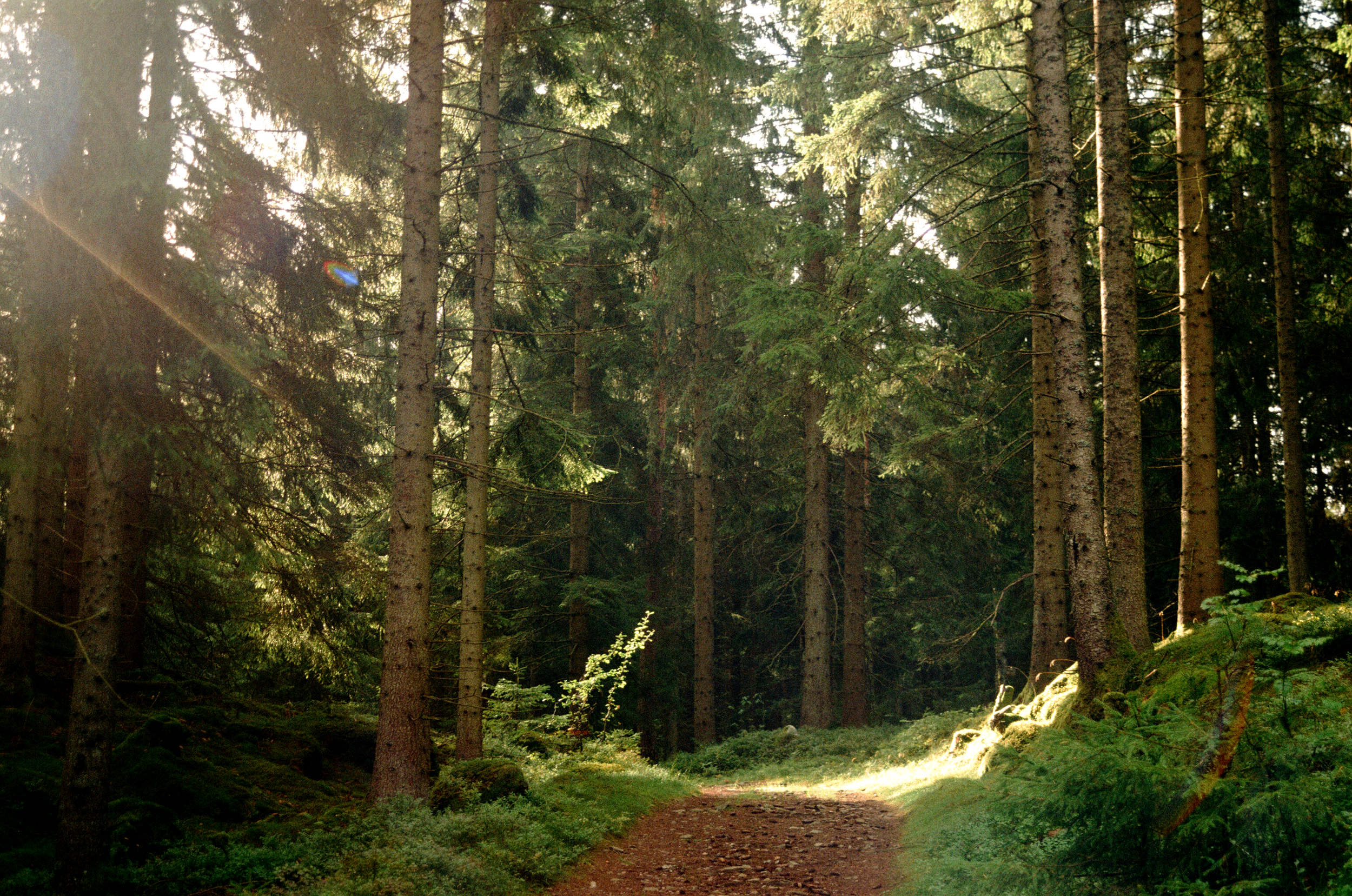 Film0447_23.png