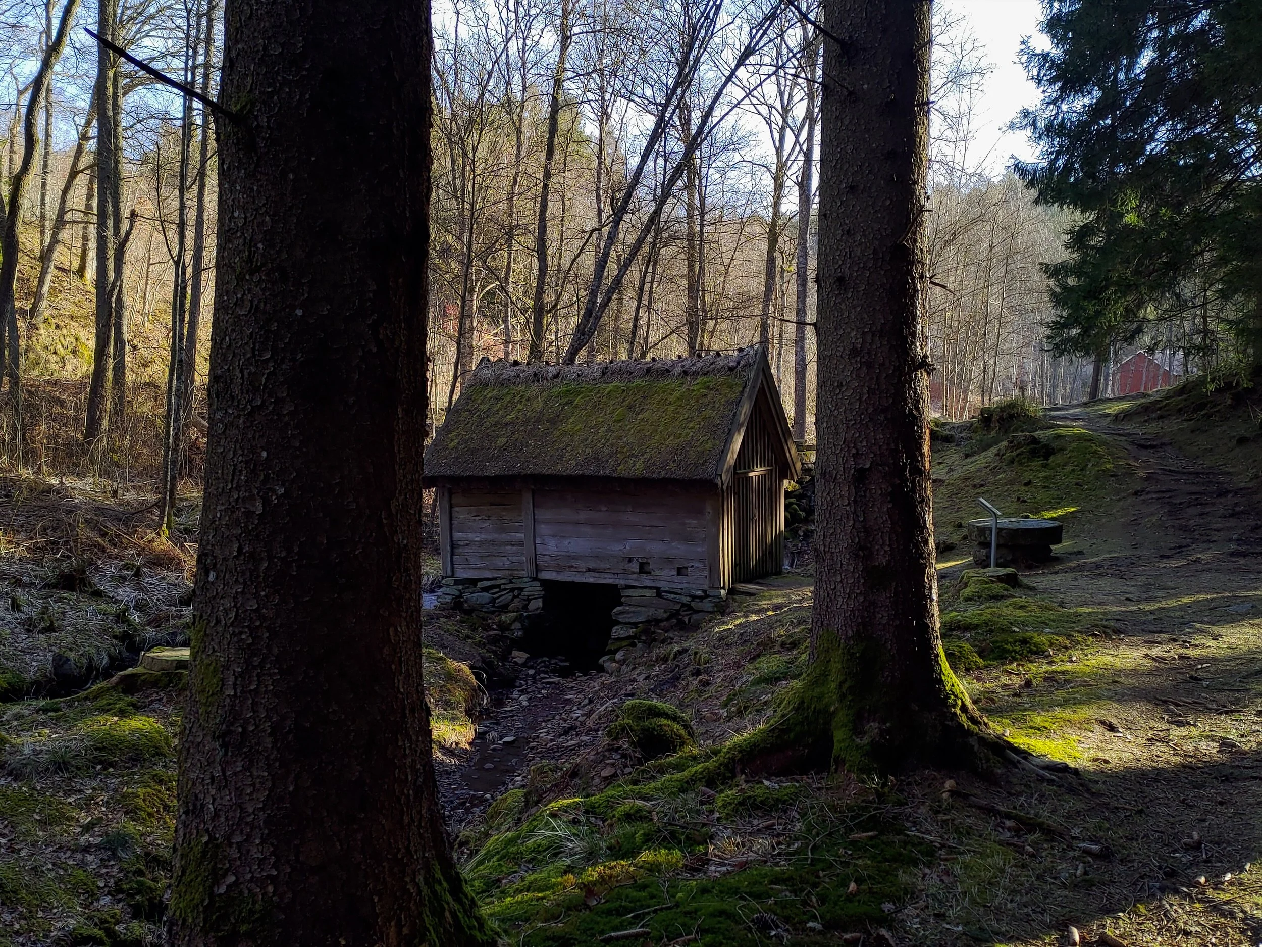 P_20220412_082332.jpg
