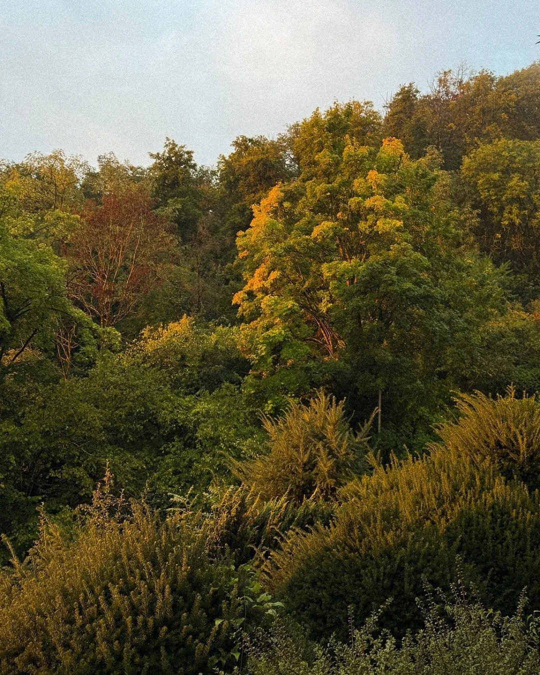 Hey Autumn 🍁 
I see you 🧡