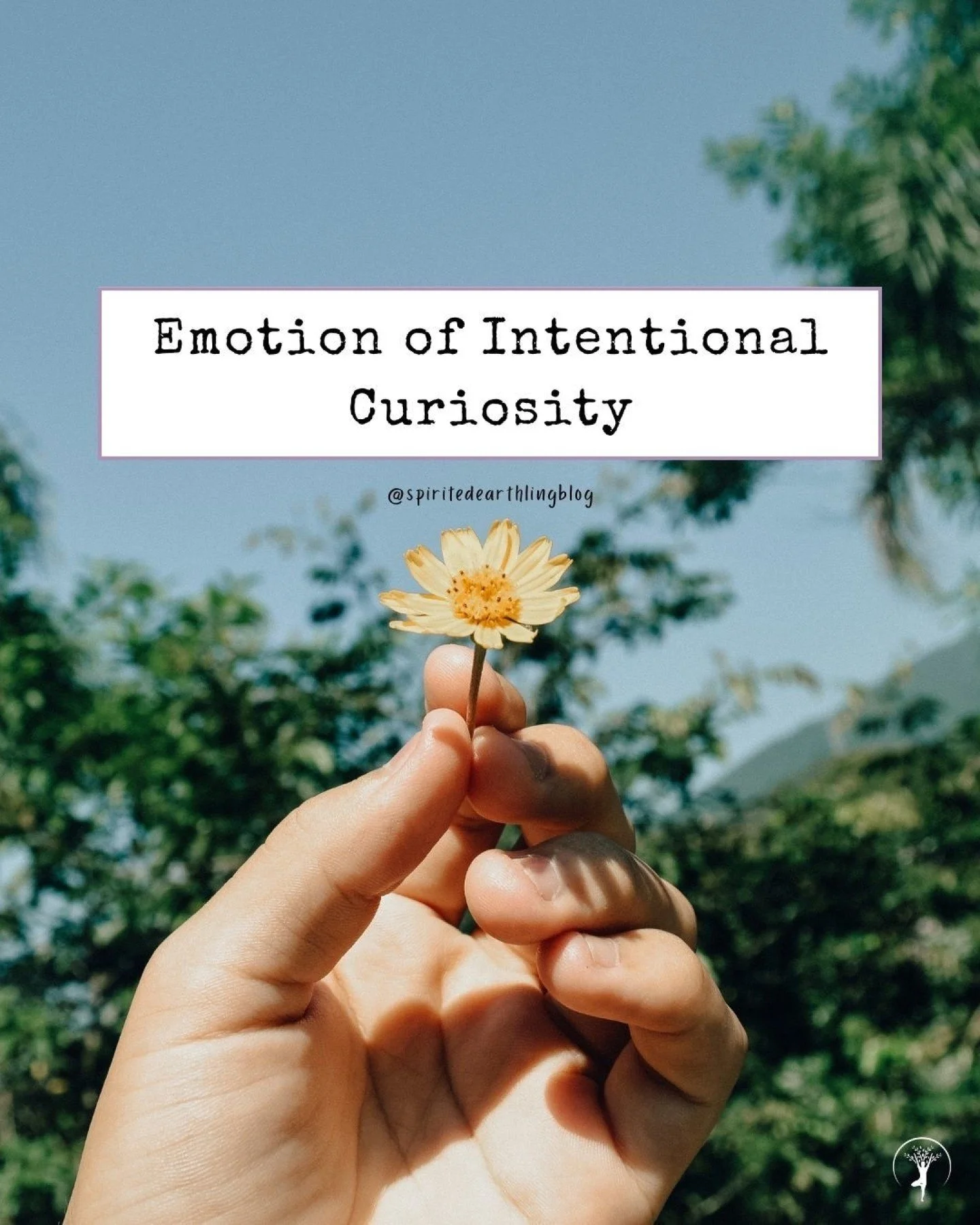 When we invite this form of curiosity into our daily lives, it begins to change the way we think, how we feel, relate, and grow. It reconnects us with presence, compassion, and the deeper questions our spirit longs to explore. Beyond intellectual sti