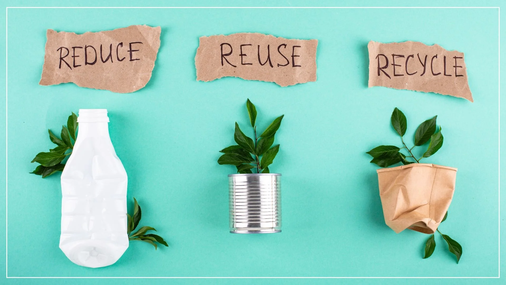 Eco-Anxiety to Eco-Action Perspective: Reasons Why Your Actions Still Matter