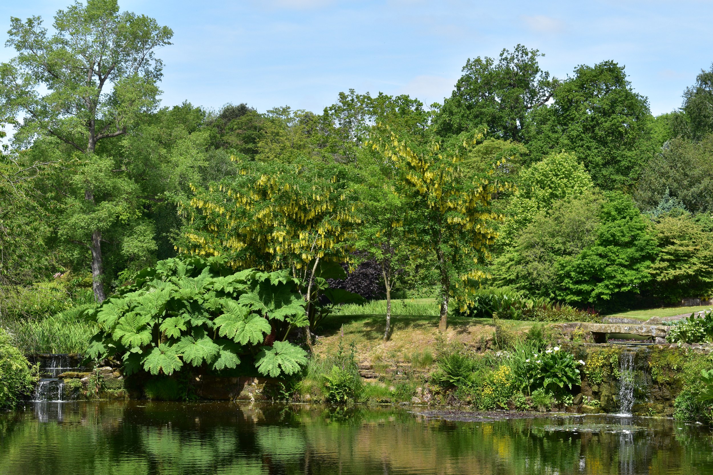 DSC_2855.JPG