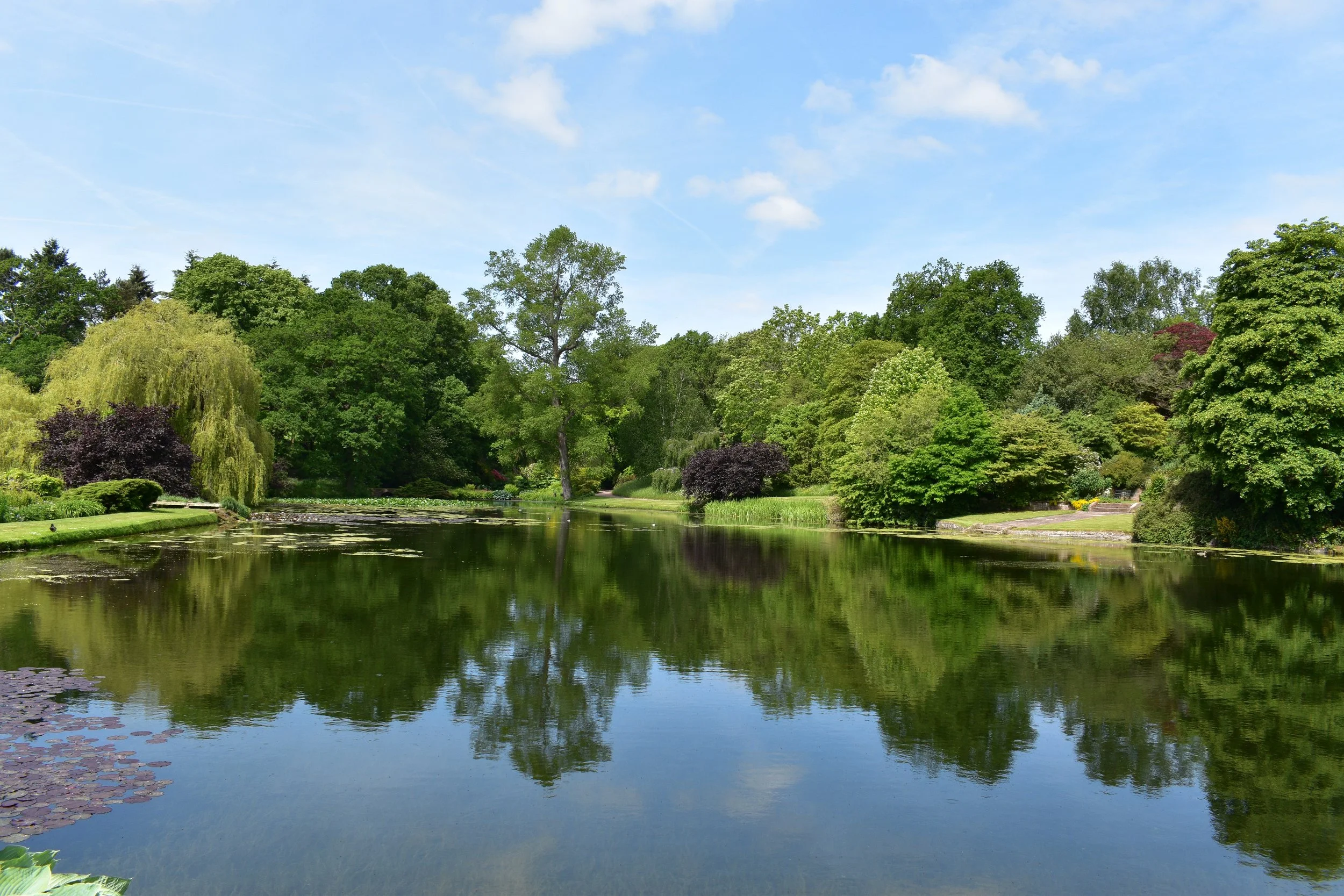 DSC_2852.JPG