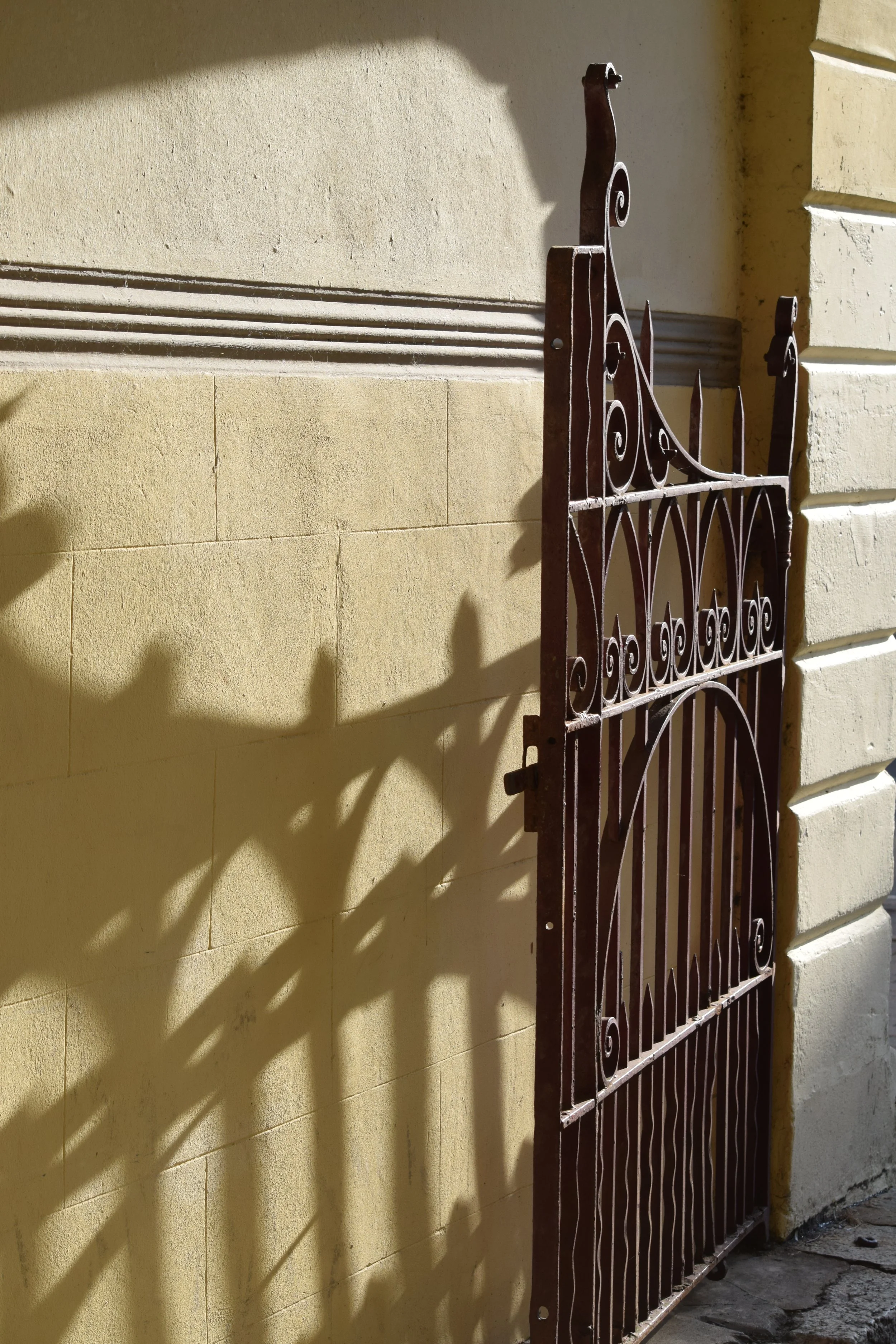 SGH photos - Emma Aylett  (2).JPG