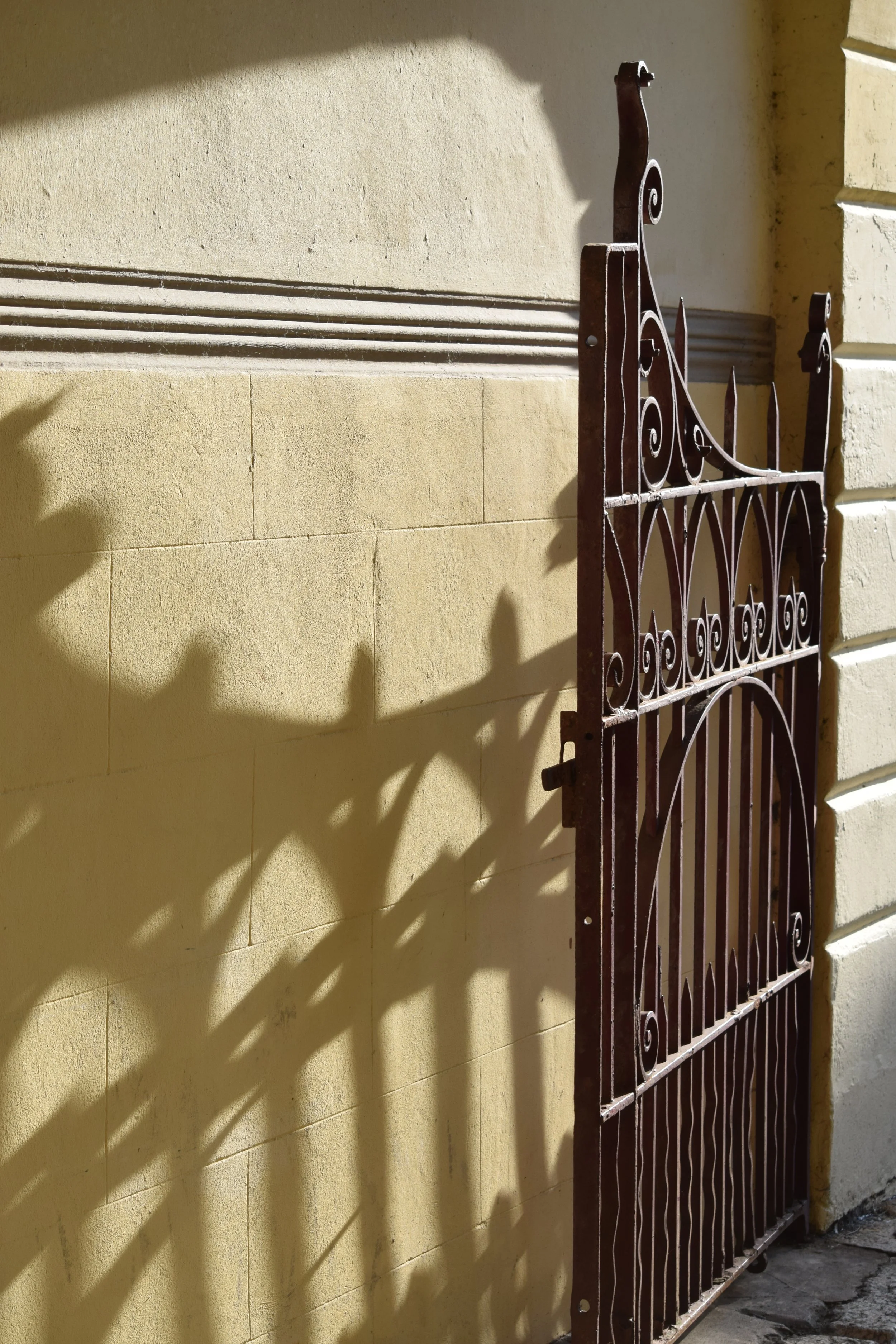 SGH photos - Emma Aylett  (4).JPG