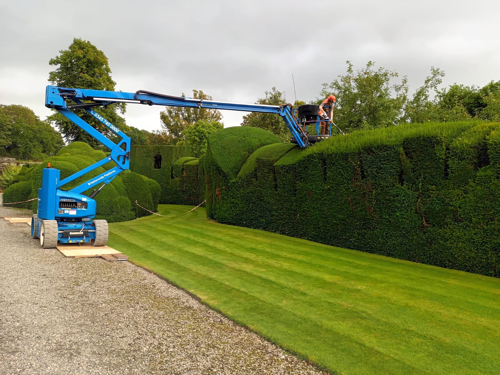 Clipping topiary at Levens Hall Gardens 
