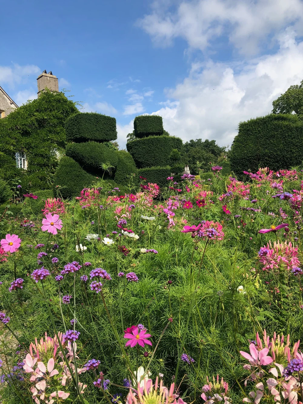 Levens Hall Gardens summer experiment 2021