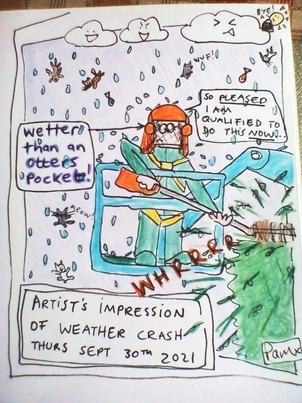 comic of Pam Howson, Topiary at Levens Hall