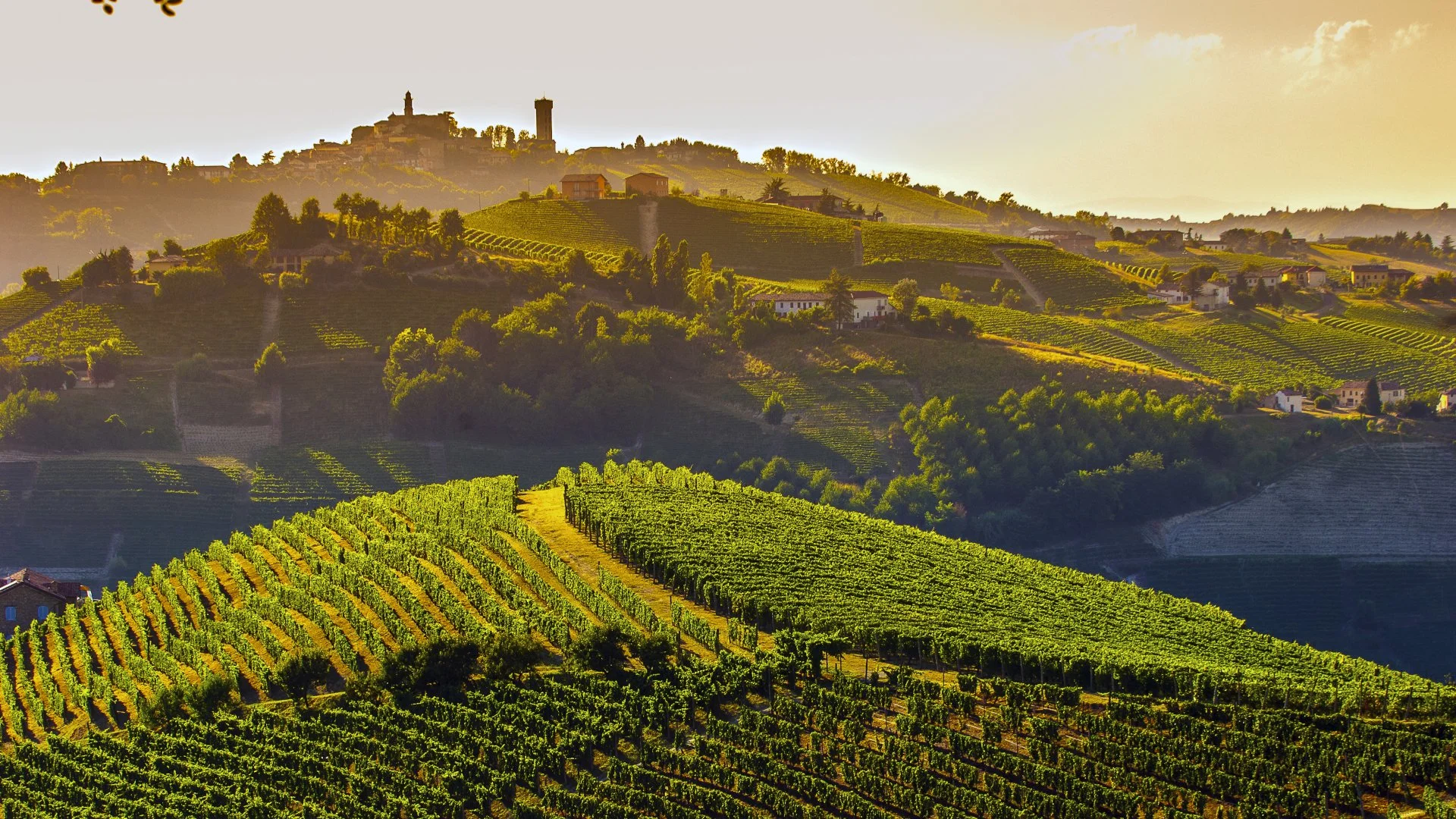 2025 Piemonte Vintage Review
