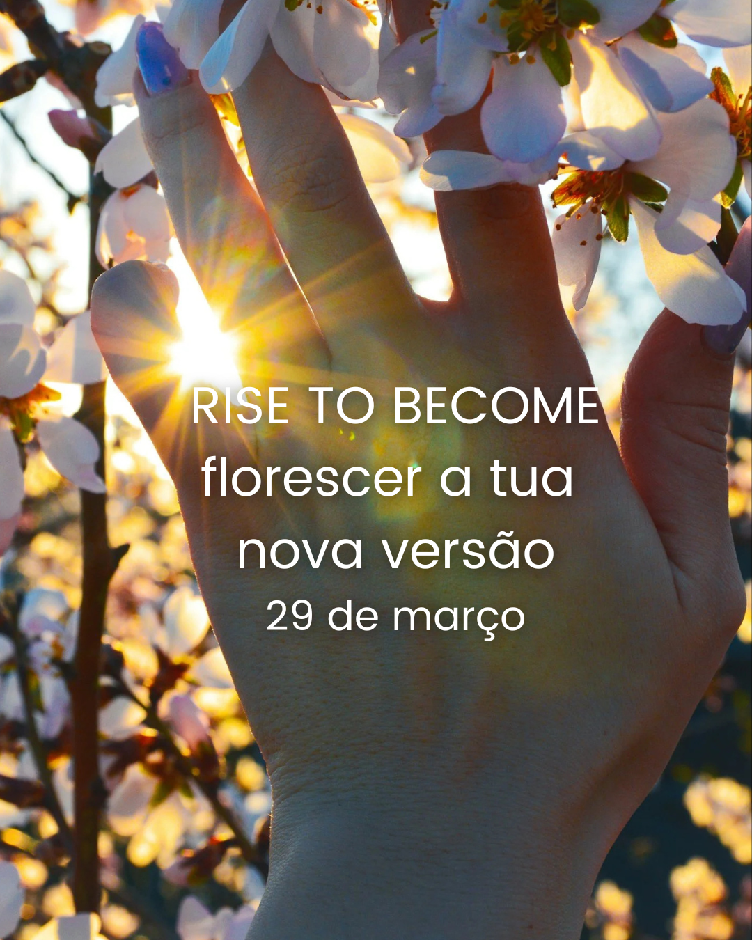 Rise to Become: florescer a tua nova versão