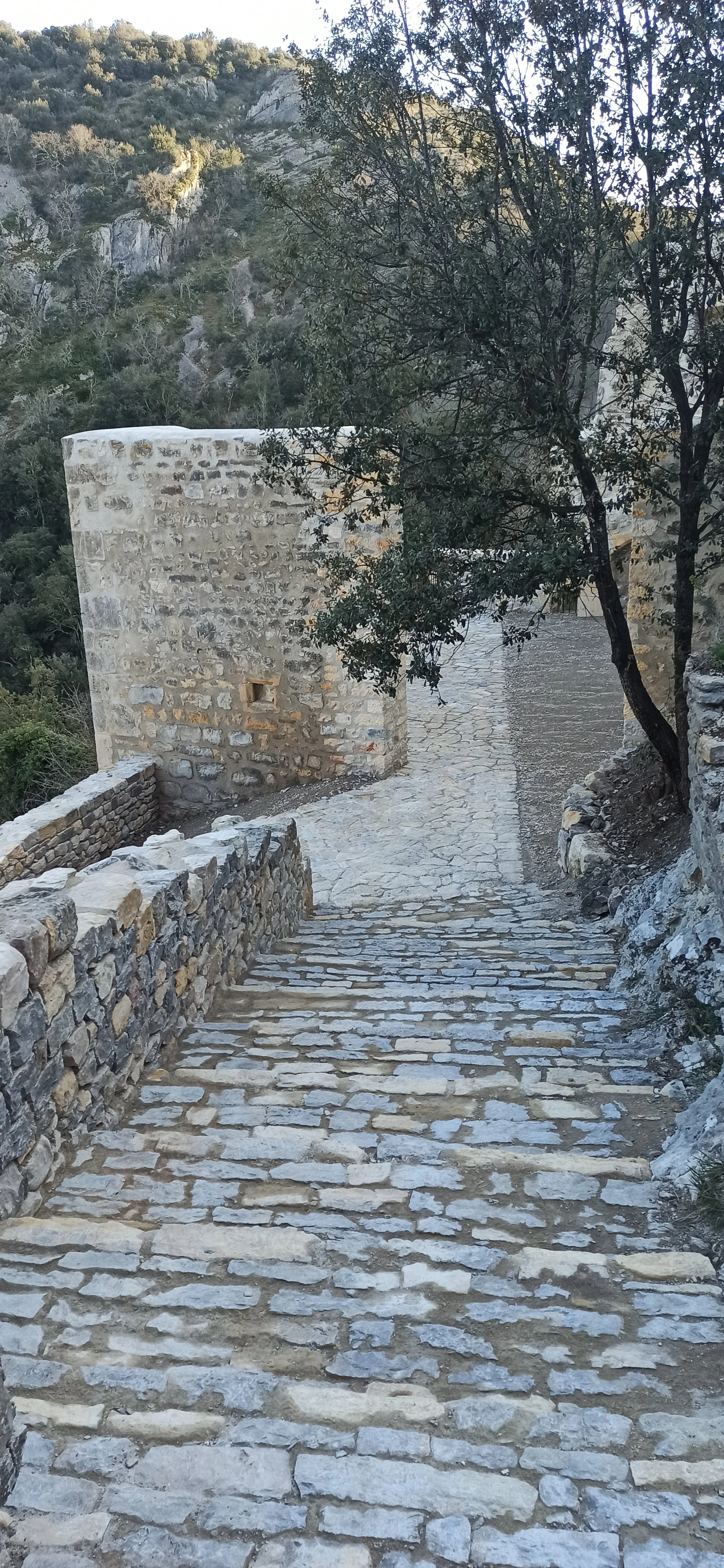 Descente au belvédère AP.jpg