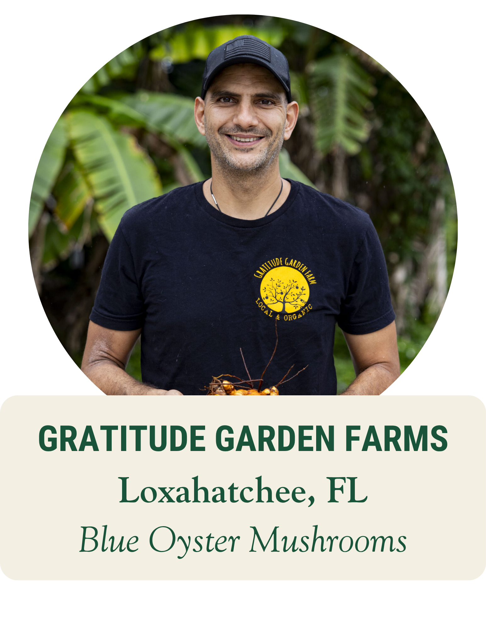 Smiling farmer in a cap and farm T-shirt among banana plants. Gratitude Garden Farms, Loxahatchee, FL: blue oyster mushrooms.