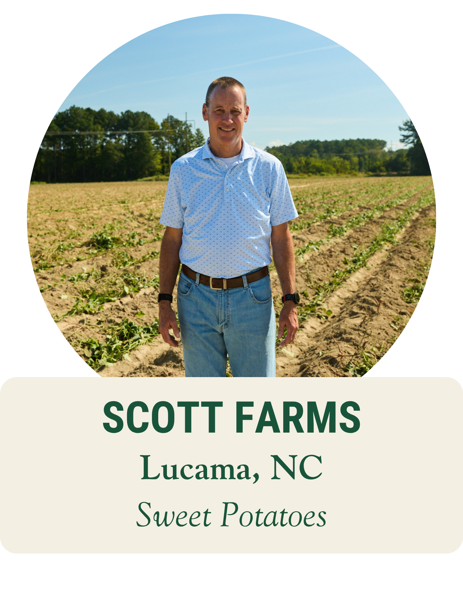 Farmer leaning on a vintage red tractor in a green field. Scott Farms, Lucama, NC: sweet potatoes.