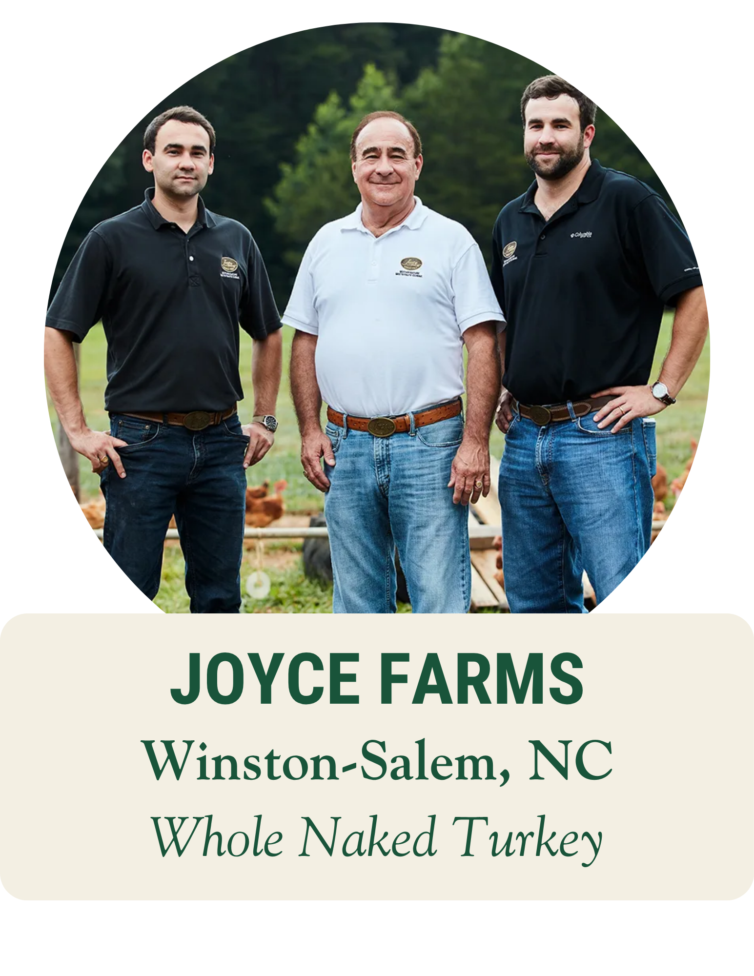 Three farmers in polo shirts on pasture with chickens behind them. Joyce Farms, Winston-Salem, NC: whole naked turkey.